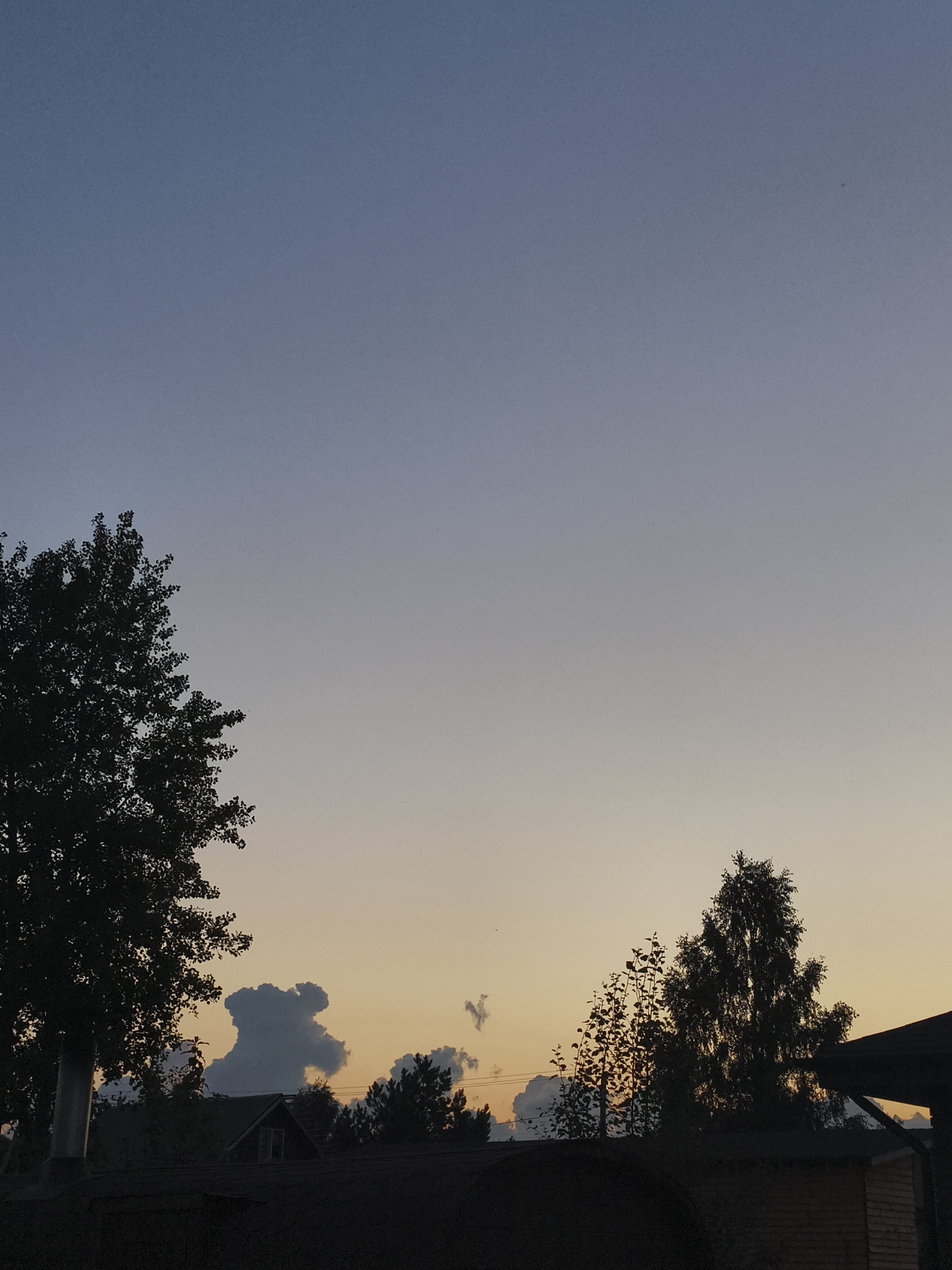 The image depicts a silhouetted view of trees, rooftops, and a chimney against a gradient sky at dusk. The sky transitions from a pale blue at the top to a soft orange and yellow hue near the horizon, indicating the setting sun. In the mid-ground, several trees are visible in silhouette, with one larger tree on the left and a cluster of smaller trees on the right. A notable cloud formation in the center of the image resembles a cartoon bear. The foreground shows the dark silhouettes of rooftops, suggesting a residential area. The location is identified as Русский Вожой, Russia. There are no people or animals visible in the scene, and no actions or interactions are taking place. The environment is characterized by the natural elements of the sky and trees, combined with man-made structures of rooftops.