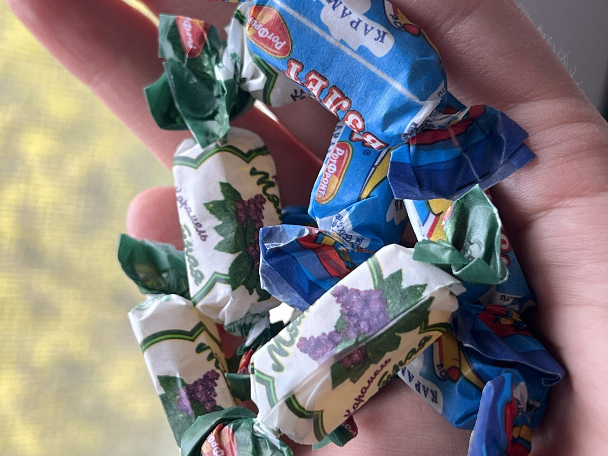 A close-up shot captures a person's hand holding a small collection of individually wrapped candies. The hand, showing visible skin texture and creases, cradles approximately ten candies, with more partially visible.
Two main types of candy wrappers are discernible. Several candies are wrapped in bright blue foil, featuring a repeating pattern. Prominent white text on these wrappers includes "КАРАМЕЛЬ" (CARAMEL) and "БУРАТИНО" (BURATINO), alongside a red oval logo containing "РОТ ФРОНТ" (ROT FRONT) in white. The word "СКАЗОЧНАЯ" (FABULOUS/FAIRY-TALE) is also partially visible on some blue wrappers.
Interspersed with the blue-wrapped candies are others encased in white paper, adorned with green borders and illustrations of purple grape clusters and green leaves. Text on these wrappers also clearly shows "РОТ ФРОНТ" (ROT FRONT) and "МЯТНАЯ КАРАМЕЛЬ" (MINT CARAMEL), indicating a mint-flavored caramel, possibly with a grape theme.
The background is a soft, out-of-focus blur of warm yellow, suggesting a bright, possibly sunlit, indoor setting. The visible text in Russian, particularly the brand "РОТ ФРОНТ," strongly indicates the candies are Russian-made, aligning with the location context of Khimki, Russia. No specific activity beyond holding the candies is depicted, and no emotions are discernible. The time of day appears to be daylight due to the bright background.