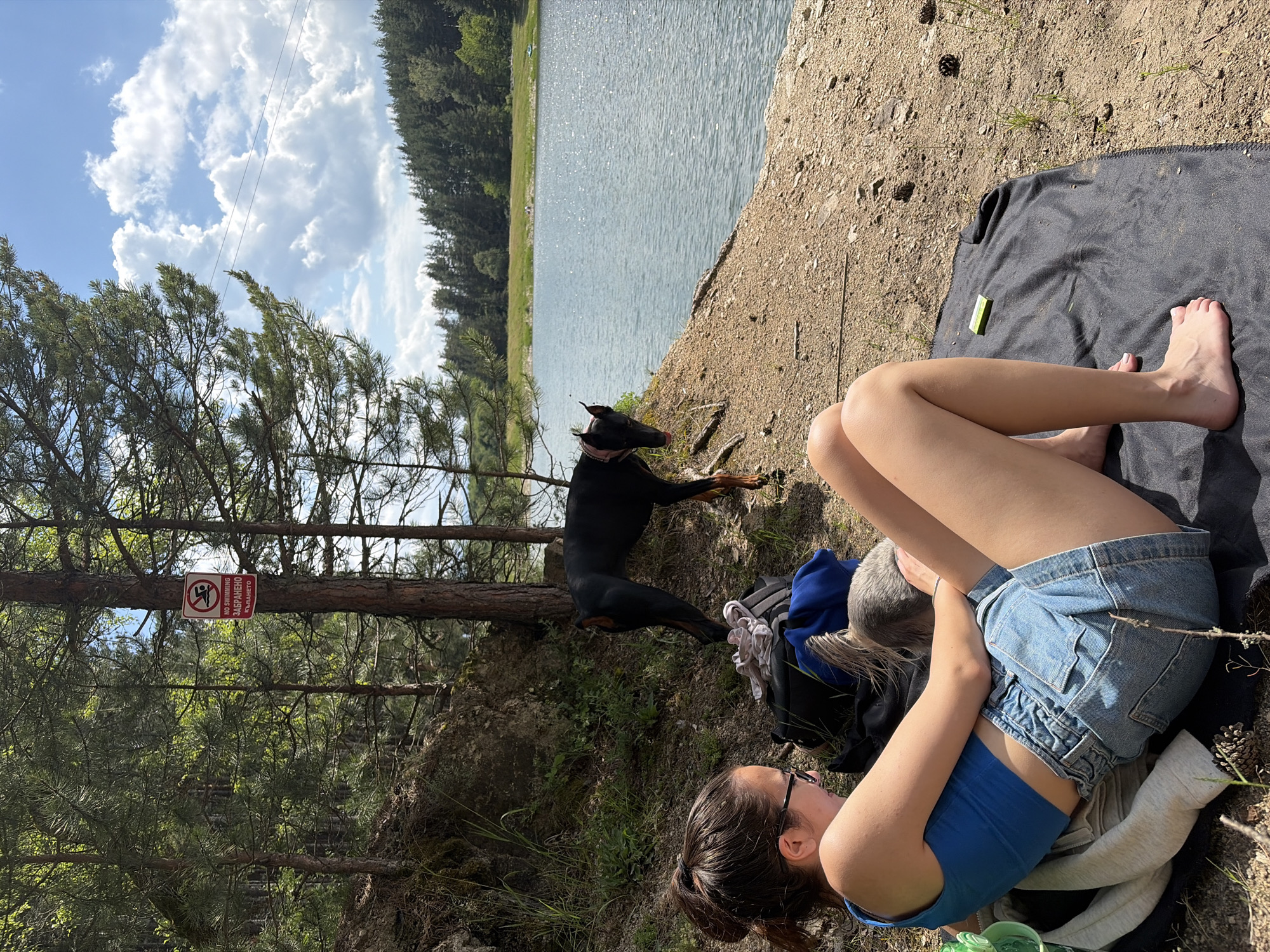 The image captures a sunlit outdoor scene by a lake in a forested area near Alino, Bulgaria. In the foreground, a young woman with dark hair tied in a ponytail, wearing glasses, a blue crop top, and denim shorts, is seated or lying on a dark, possibly black, blanket. She is petting a small, light-colored furry dog whose head is visible between her arms. Her bare legs and feet rest on the blanket. To her right, a black Doberman dog with cropped ears and brown markings stands on the sandy bank near the water's edge, looking back towards the woman. Behind the woman, a backpack and folded clothing are visible on the ground. A red and white "NO SWIMMING" sign, featuring a swimmer in a circle with a diagonal line through it, and text in English ("NO SWIMMING") and Bulgarian ("ЗАБРАНЕНО КЪПАНЕТО"), is affixed to a pine tree trunk on a small incline. The ground is dry, sandy earth with sparse grass and scattered pine cones and small stones. A calm body of water, shimmering with sunlight reflections, extends across the mid-ground. The background features a dense forest of evergreen trees under a bright blue sky with numerous fluffy white cumulus clouds. Faint power lines are visible against the sky in the upper mid-ground.