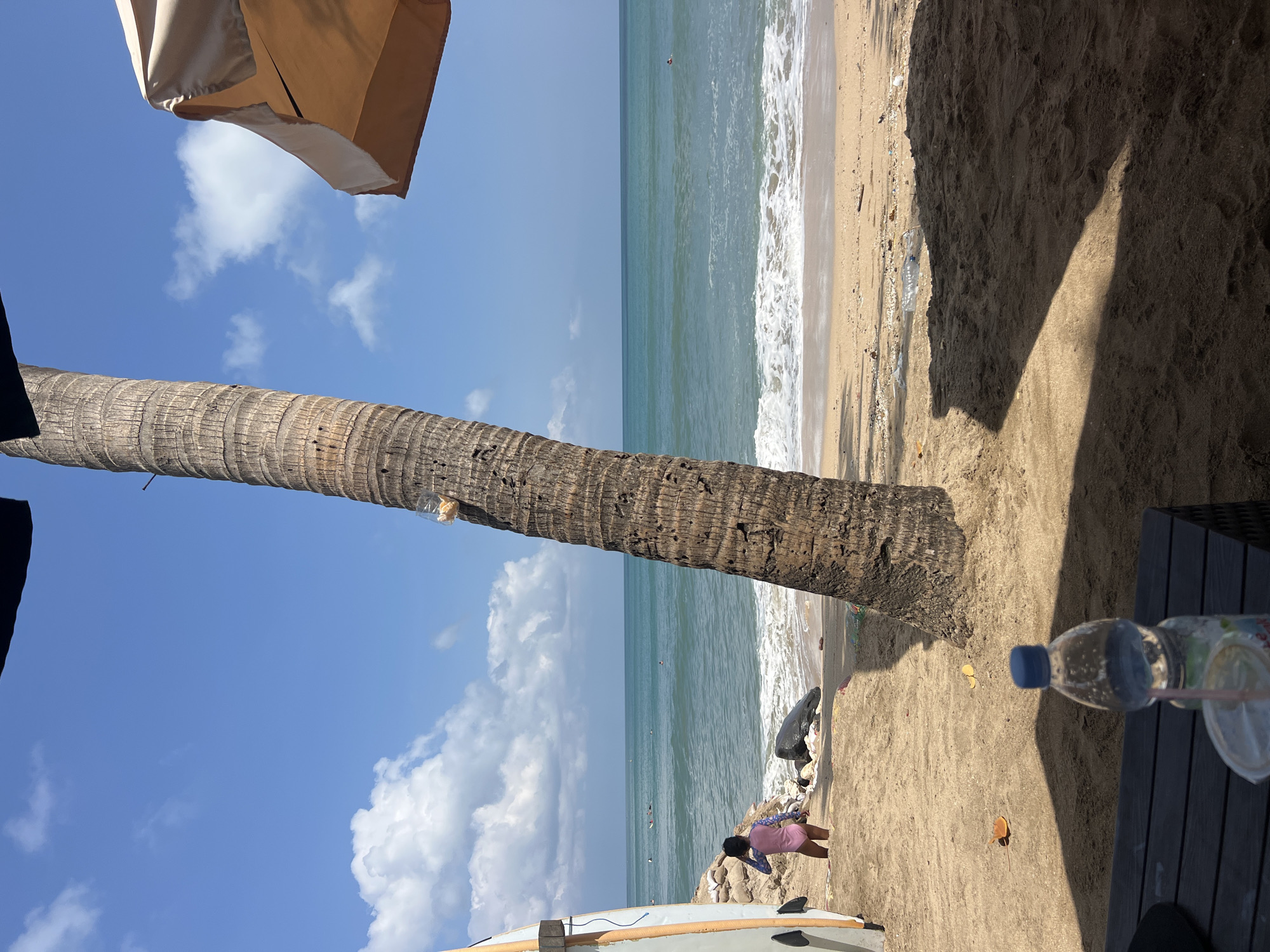 This is a medium shot photograph taken on a sunny day at Kuta Beach in Kuta, Indonesia. The image captures a sandy beach with the ocean in the background. In the foreground, a portion of a dark wooden table with a plastic bottle of water and a plastic cup with a straw is visible. To the left, a surfboard is propped up. Dominating the center of the frame is a large, rough-barked palm tree.
In the mid-ground, a young person wearing a pink and blue swimsuit is standing on the sand, facing the ocean. The person appears to be looking out at the water. Behind this person, there are several other individuals scattered in the water, some on surfboards and others swimming. The ocean is a vibrant turquoise with white waves breaking near the shore. The beach itself is scattered with some debris, including plastic bottles and other small pieces of trash.
The background features a clear blue sky with scattered white cumulus clouds. A portion of a light-colored beach umbrella is visible in the upper right corner of the frame. The overall scene depicts a typical day at a popular beach destination.