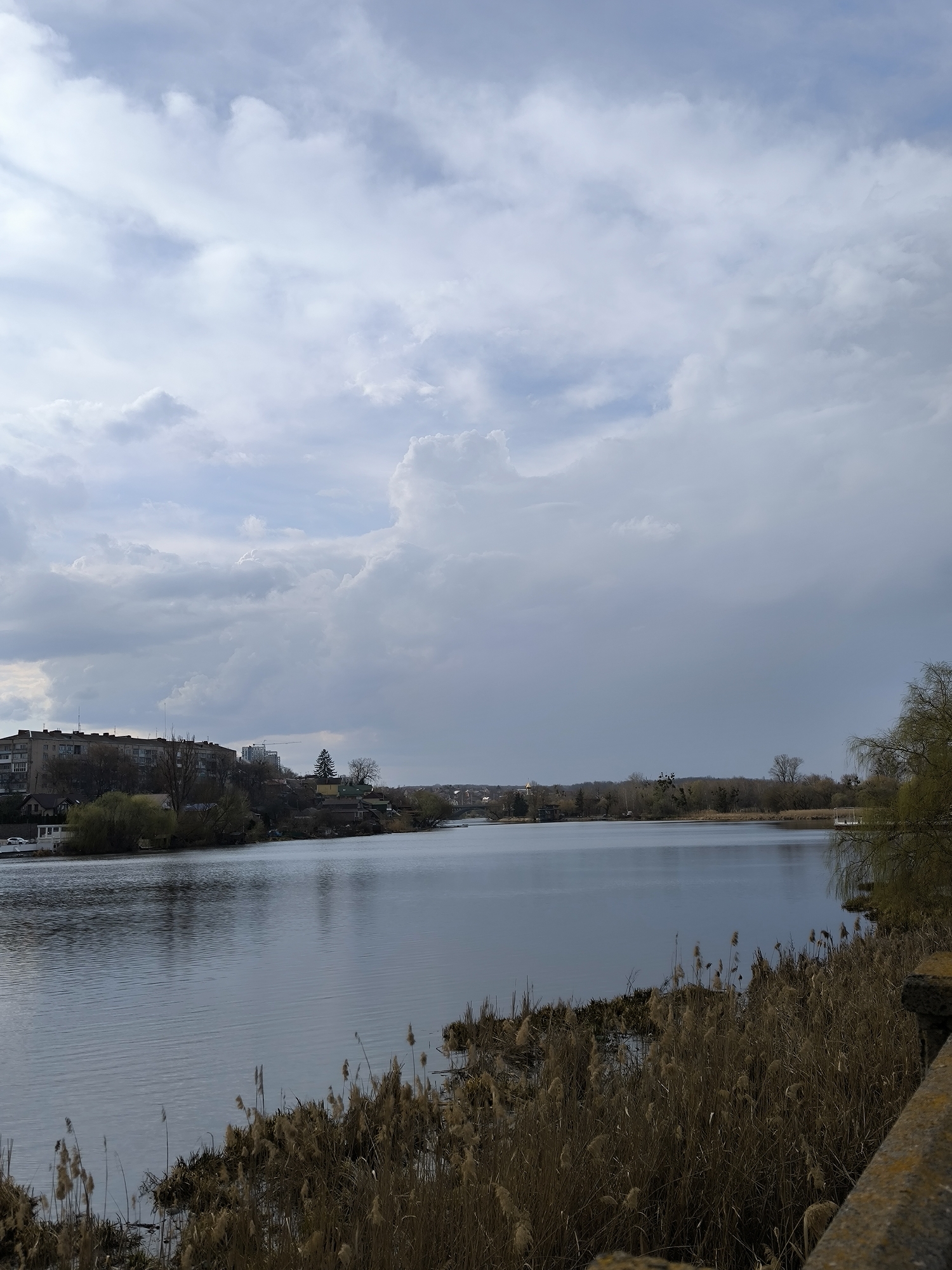The image shows the Southern Bug River in Vinnytsia, Ukraine. The sky is overcast with a mix of gray and white clouds. The river is calm with slight ripples. Buildings are visible on the opposite bank. Reeds grow along the near bank. The photo appears to be taken from a bridge or raised embankment. No people are visible.