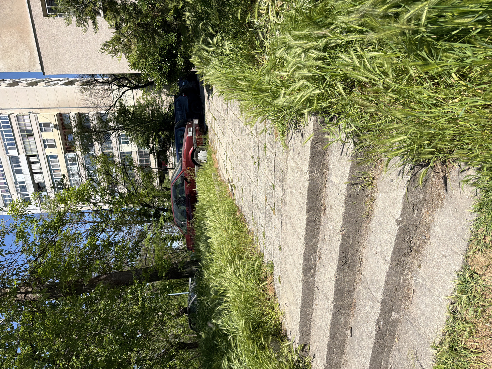The image shows a sidewalk in Plovdiv, Bulgaria, next to a concrete retaining wall overgrown with grasses. The sidewalk is made of concrete slabs and has several steps leading up. To the left of the sidewalk, there are trees and parked cars. A tall building is visible in the background. The day is sunny, casting shadows on the sidewalk.