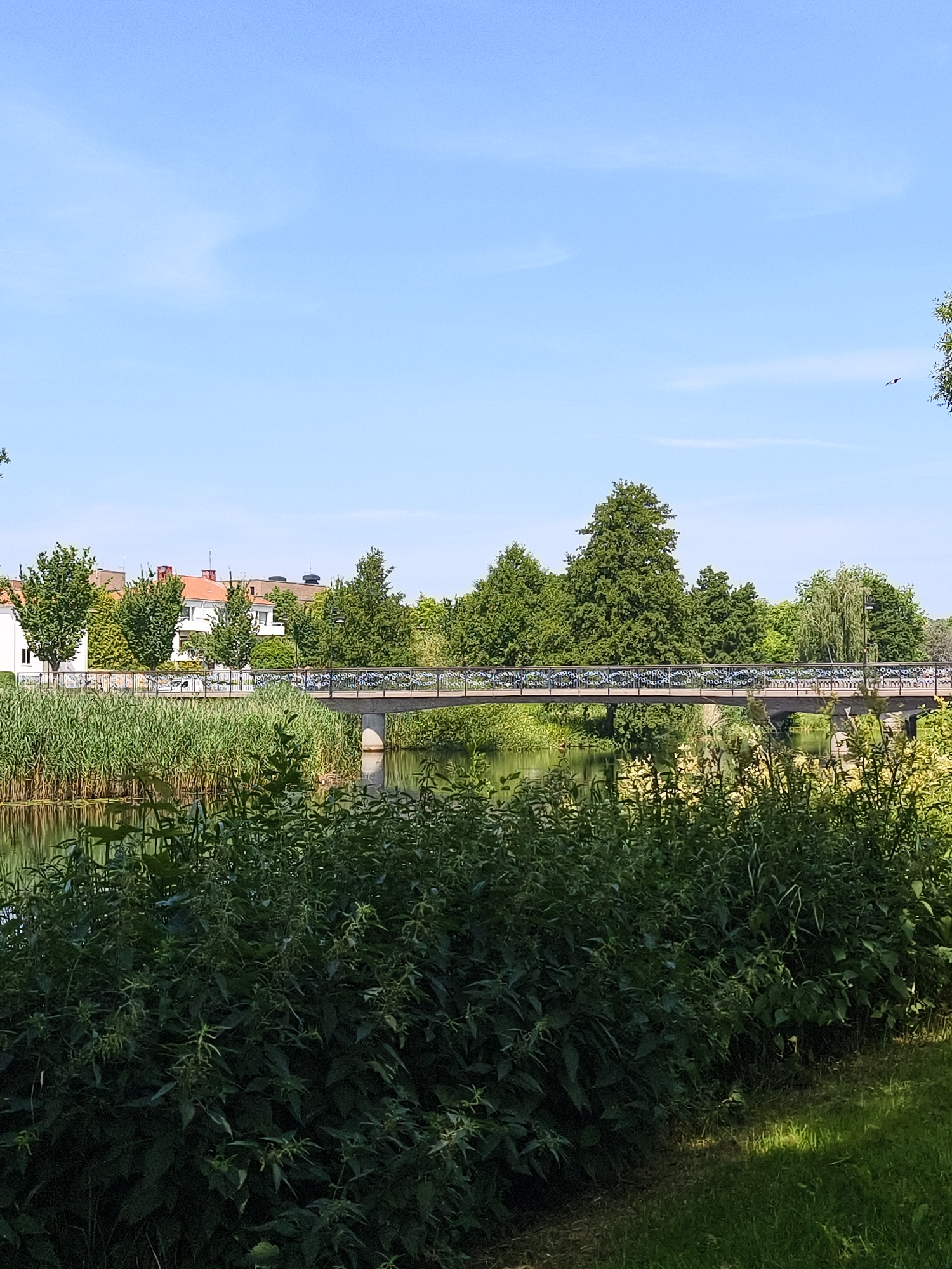 The image depicts a view of the Södra Kungsvägen bridge in Mjölby, Sweden, on a clear, sunny day. In the foreground, dense green foliage and reeds line the bank of a body of water, reflecting the sunlight. A bridge with a patterned railing spans the water, with a stone support visible. On the opposite bank, several buildings with red-tiled roofs and white facades are nestled amongst lush green trees. A street lamp is also visible. The sky above is a bright, clear blue with a few faint clouds. The scene conveys a tranquil, summery atmosphere.