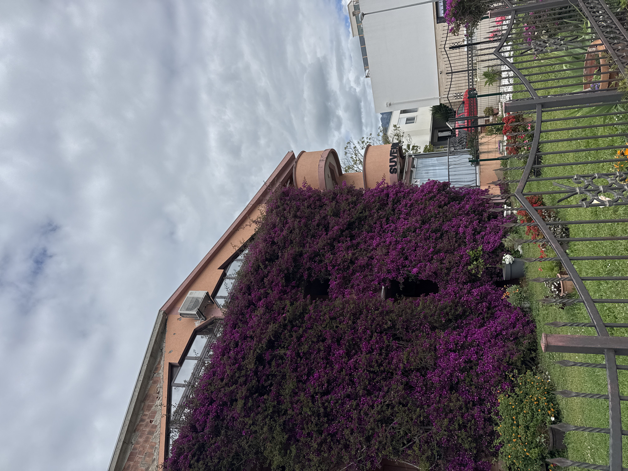 The image shows a building in Bar, Montenegro, heavily covered in purple bougainvillea. The building is multi-story with an angled roofline and architectural details including cylindrical tower-like structures at the top. The word "SUVEN" is vertically inscribed on one of these structures. A gray metal fence is visible in the foreground, suggesting the building is adjacent to a public space. The sky is overcast.