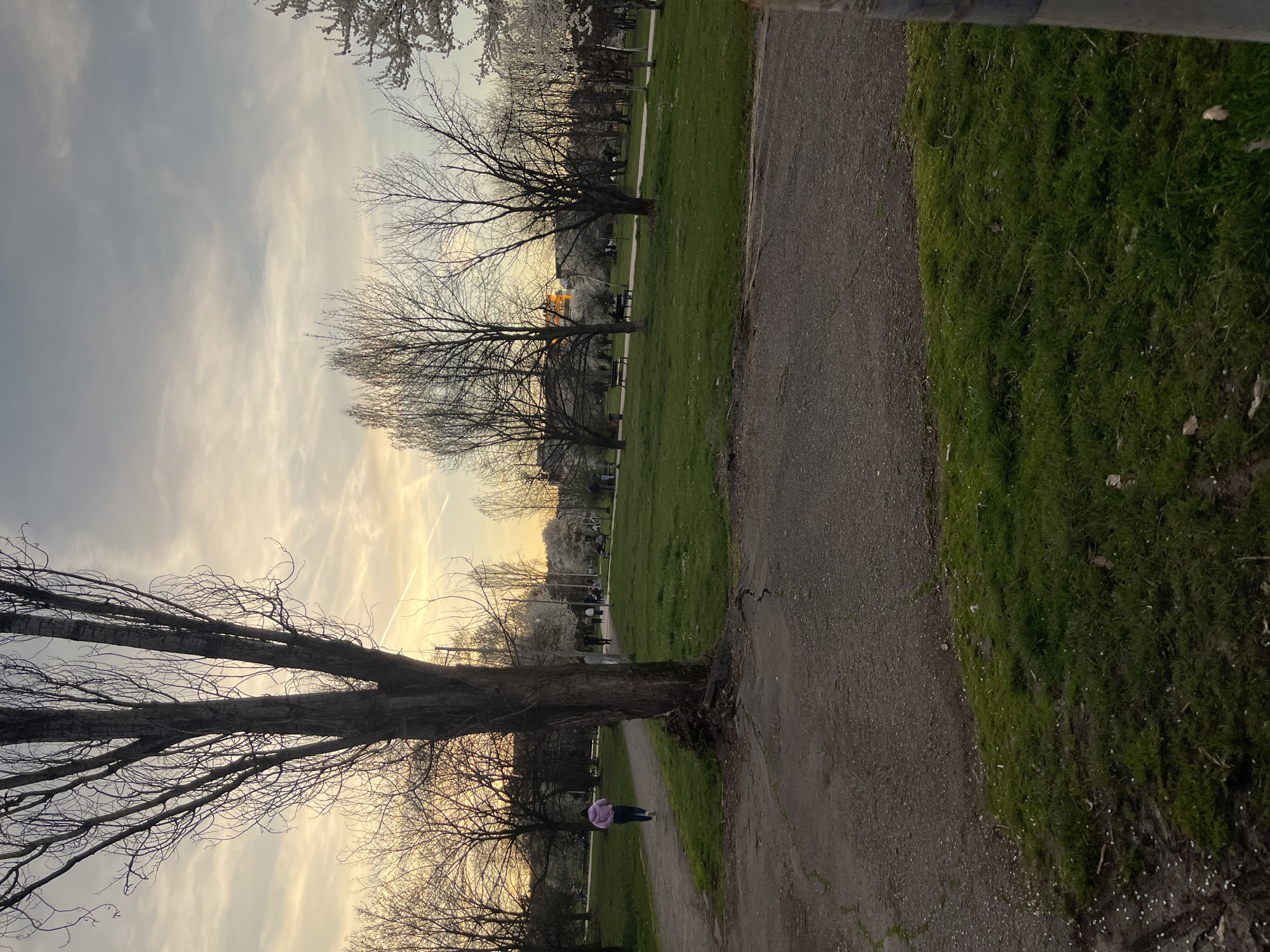 The image shows a park scene at dusk. A paved path runs through the right side of the image, bordered by grass. On the left side of the path, there's a grassy area with bare trees. A person in a light purple jacket is walking on a path adjacent to the main one. In the background, other people are visible under blossoming trees. The sky is cloudy with a hint of sunset colors. The photo appears to be taken in the Unknown, Unknown area.