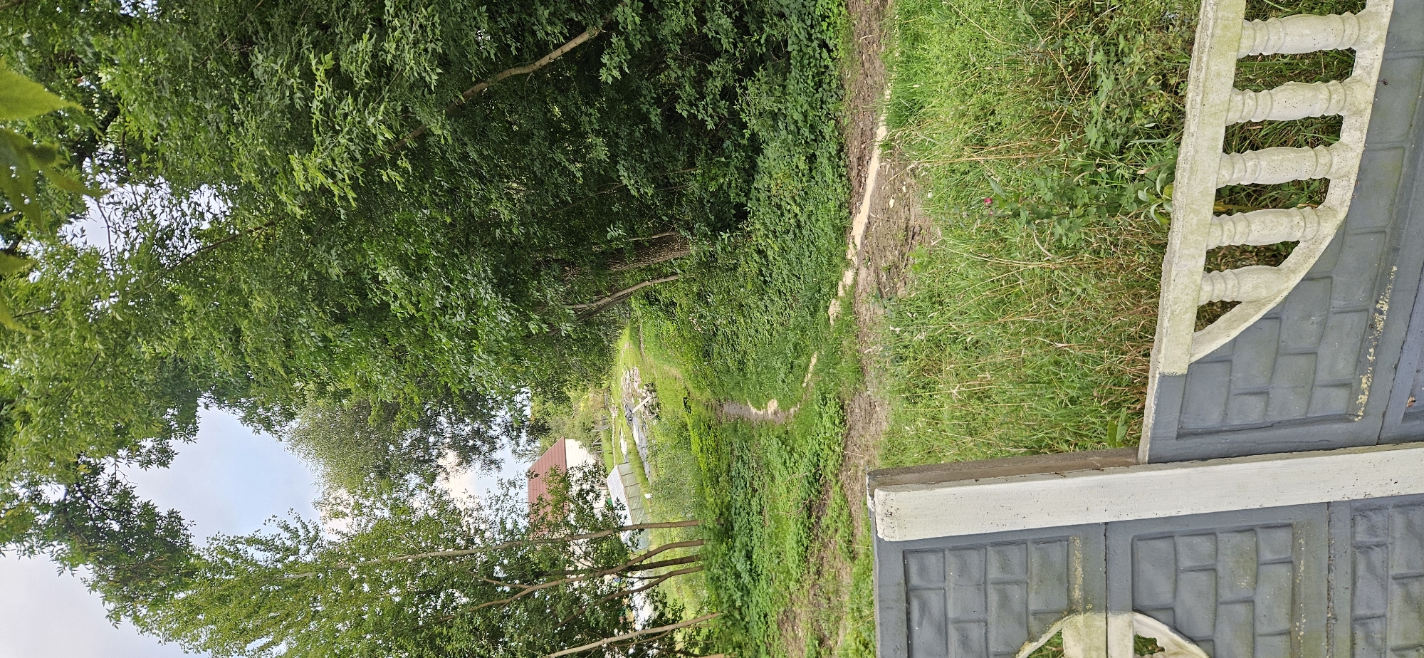 The image captures a view from what appears to be a yard with a decorative concrete fence in the foreground. Beyond the fence, a narrow dirt path winds uphill through lush green grass and dense foliage. To the left of the path, several slender trees are visible, and further in the distance, a white building with a red roof and a small greenhouse are situated amidst greenery. The path leads into a wooded area on the right, characterized by a thick canopy of green leaves. The sky above is overcast with some patches of light clouds. There are no people or animals visible in the scene. The overall impression is of a rural or suburban setting within the city of Vitsebsk, Belarus.