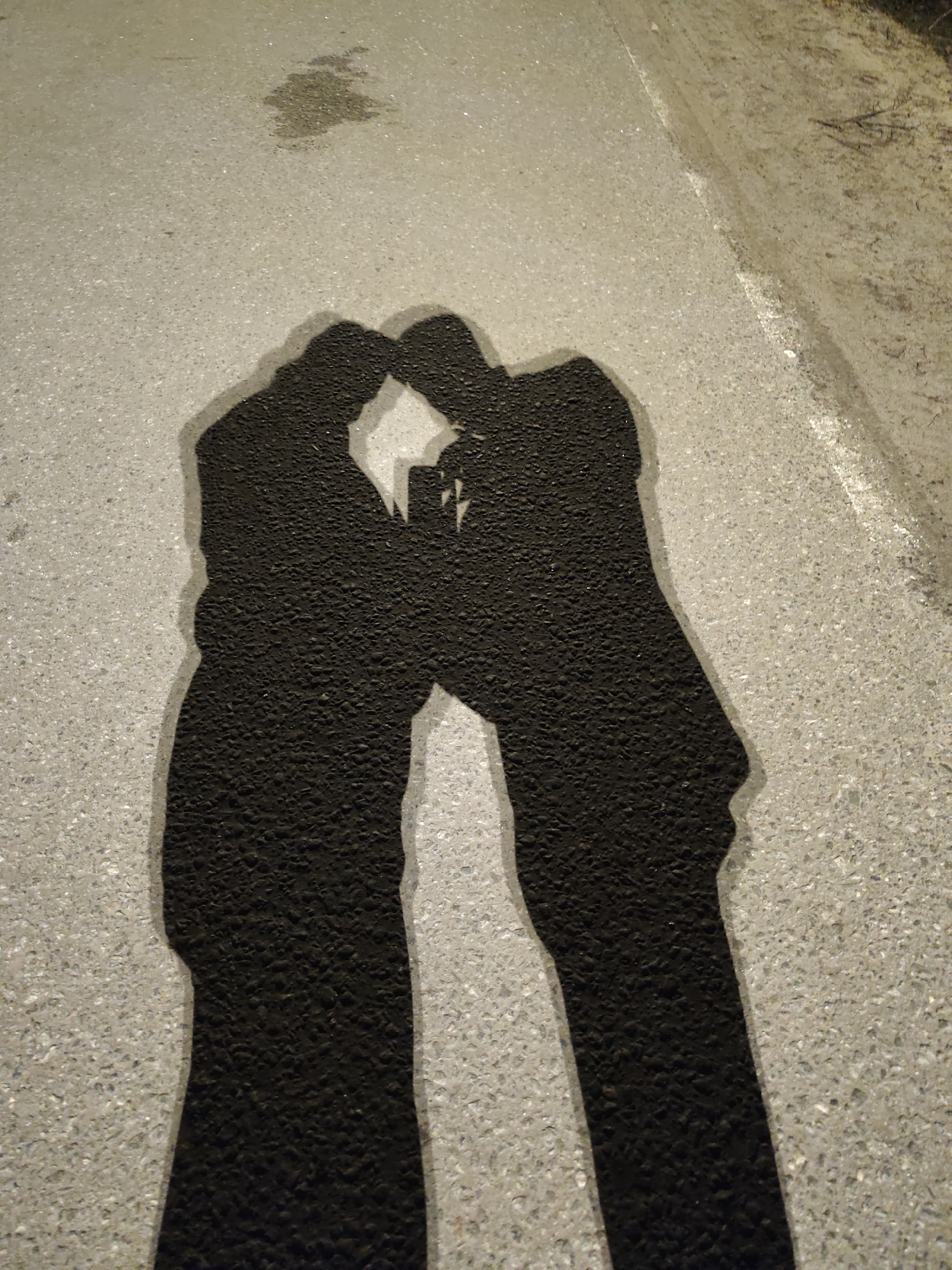 The image shows the shadows of two figures on a concrete surface, possibly a sidewalk or street. The figures appear to be leaning in towards each other, and there is a shadow of what seems to be a phone or camera held between them. The concrete surface is mottled and uneven, with some darker stains or spots. A curb is visible along the right edge of the image. The location is not Kratovo, Russia.
