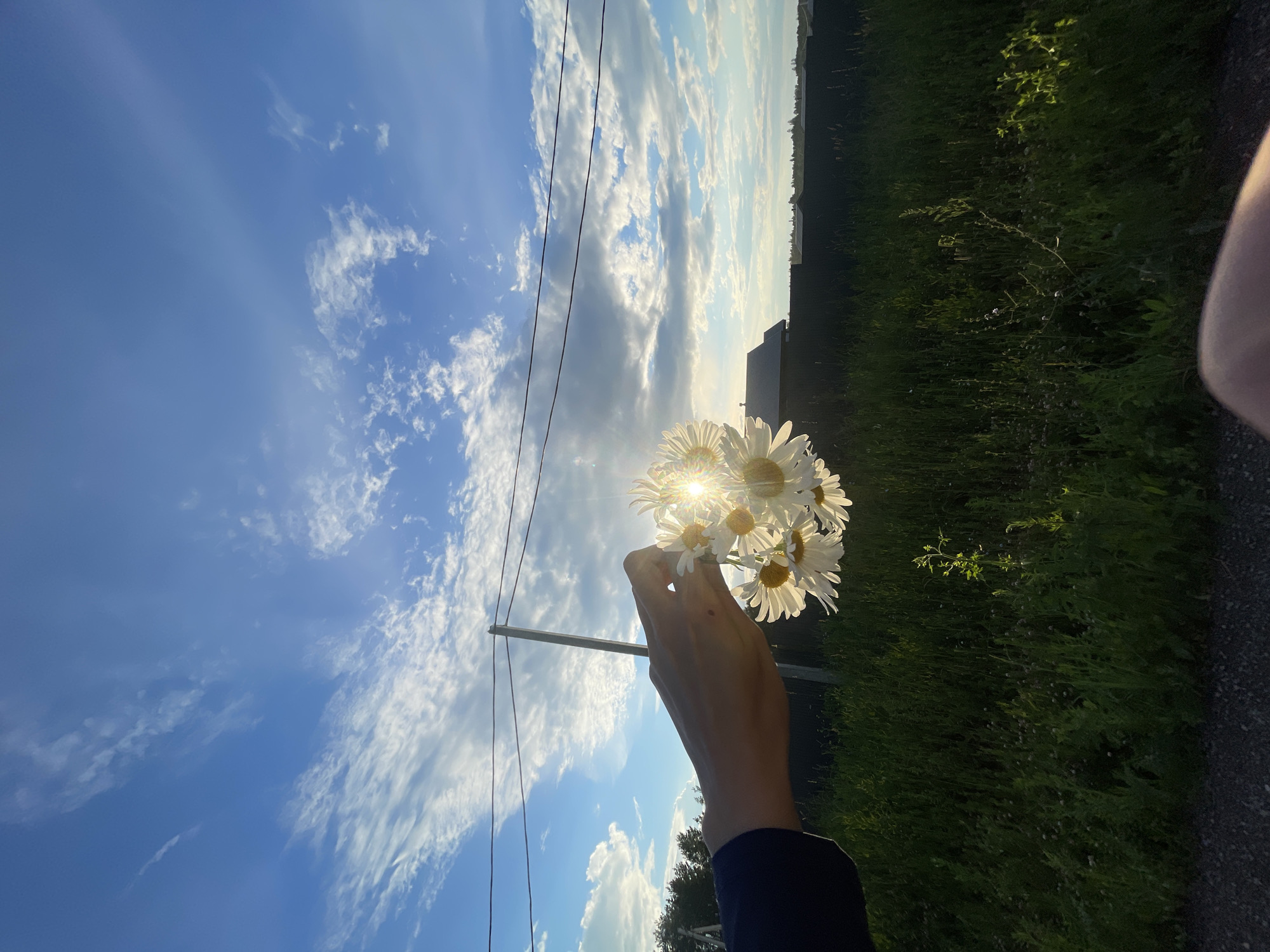 A hand holds a bouquet of white daisies against a bright blue sky with scattered clouds. The sun shines through the flowers, creating a lens flare. The scene appears to be outdoors, with a grassy field and a road visible to the right. A utility pole with wires runs vertically through the frame. The image is oriented vertically. The time of day appears to be late afternoon or early evening, given the quality of light. The location context provided is Podshivalovo, Russia.