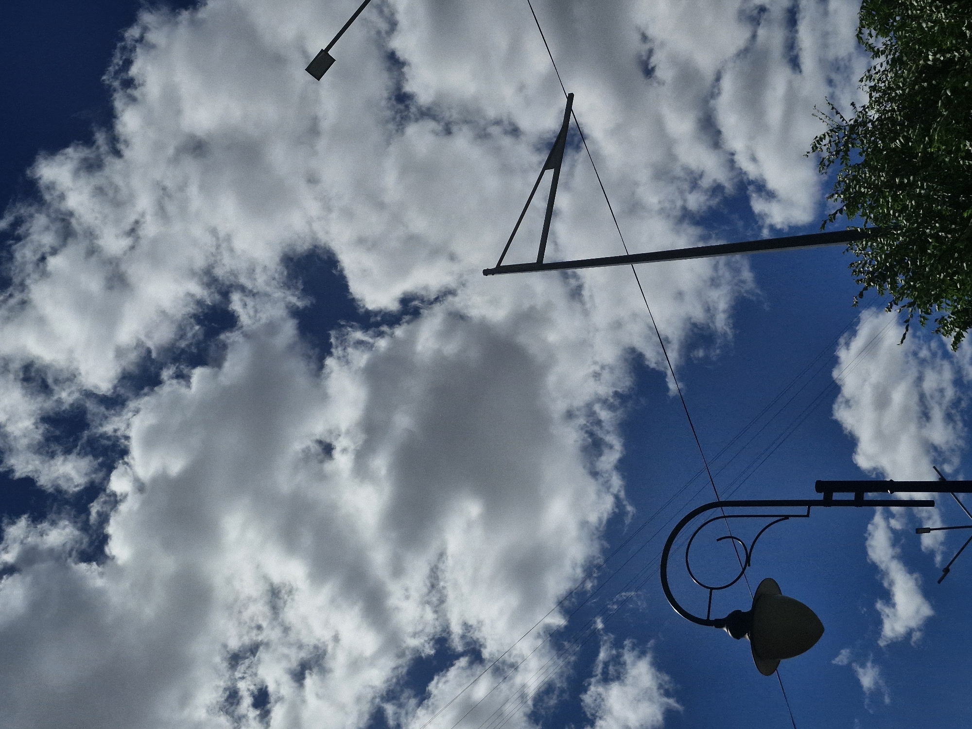 An upward-facing, slightly low-angle shot captures a clear blue sky filled with dramatic, puffy white and gray clouds. In the foreground, a black, ornate street lamp with a curved arm and a bell-shaped light fixture stands on the left. To the right and further back, another black street lamp with a simpler, modern design, consisting of a pole with a single horizontal arm, is visible. Multiple thin black wires crisscross the frame, suggesting the presence of a power or telephone line. At the bottom right, a dense patch of green foliage, likely from trees or bushes, is partially visible. The scene appears to be an outdoor urban environment, possibly a park or street, with no people present. The image was taken in Kokshetau, Kazakhstan.