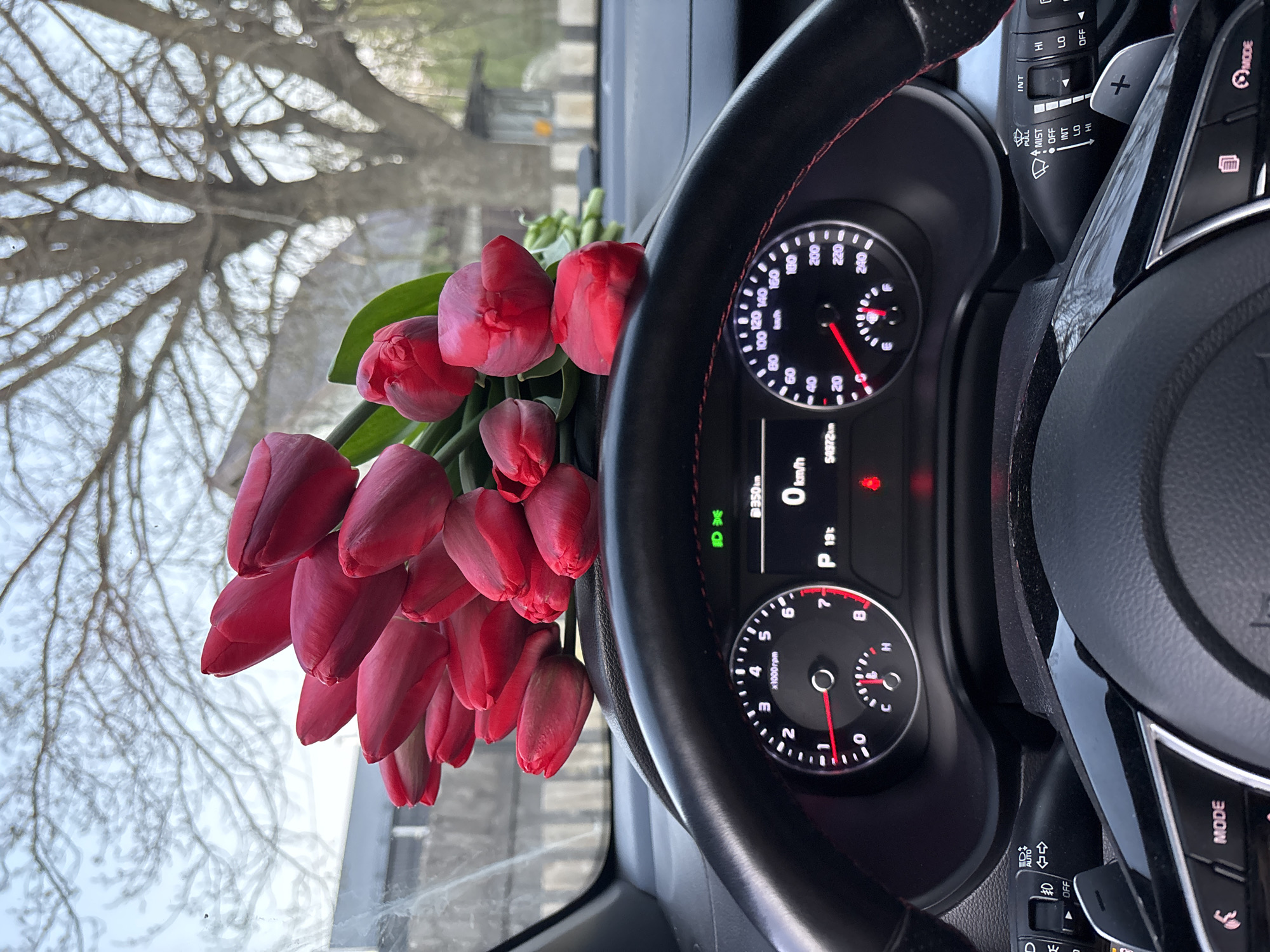The image captures the interior of a car, with a bouquet of red tulips resting on the dashboard near the windshield. The car's dashboard and steering wheel are visible, displaying various indicators and controls. Outside the car window, a tree with bare branches is seen against a blurred background, suggesting an outdoor environment, possibly within a city. The dashboard display reads "350 km", "0 km/h", "P 19C", and "54972km". Based on the car's indicators and style, it is likely a modern vehicle. The specific location is not discernible from the image, therefore the mention of Chaikovsky, Russia is not included.