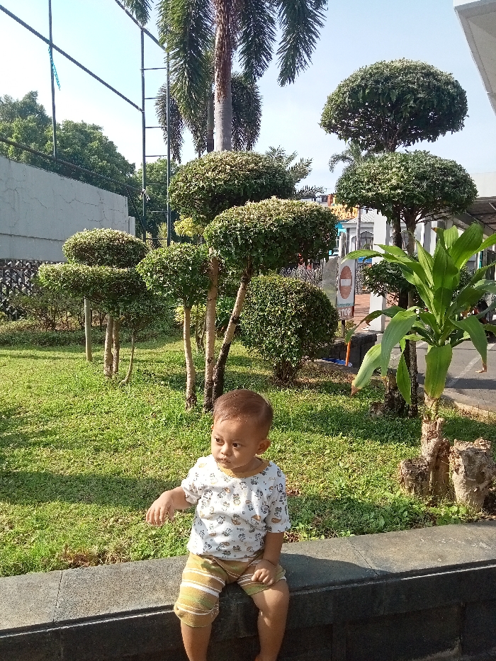 Memory
