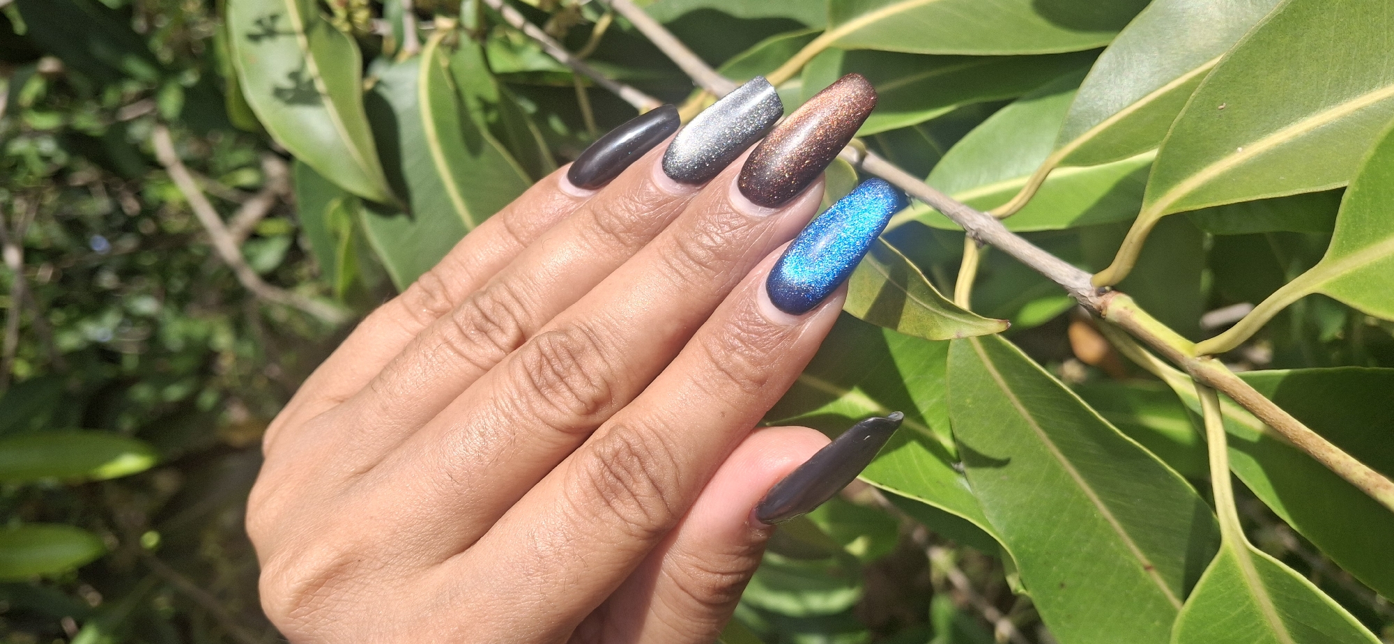 A vibrant outdoor close-up photograph displays a person's right hand with long, coffin-shaped artificial nails, set against a lush green foliage background in Vallecito, Venezuela. The hand has a warm, medium skin tone, with visible skin texture and faint hair on the knuckles.
Each visible nail features a distinct color and finish. The index finger nail is a solid dark grey or black with a subtle shine. The middle finger nail is a sparkling silver, exhibiting a magnetic "cat-eye" effect with a bright central band of glitter. The ring finger nail showcases a rich, shimmering bronze or copper, also with a distinct magnetic streak down its center. The pinky finger nail is a brilliant, intense blue glitter, featuring a prominent, light-catching cat-eye effect that contrasts with the darker edges. The thumb nail, partially visible on the lower right, is dark like the index finger.
The background is filled with healthy, bright green leaves and brown woody branches, suggesting a natural, verdant environment like a garden or forest. The lighting is bright and natural, indicating a sunny day, likely mid-morning or afternoon, as seen by the strong highlights and clear shadows on the nails and foliage. The image focuses sharply on the hand, allowing the detailed manicure to stand out against the softly blurred botanical backdrop. There is no visible text in the image.