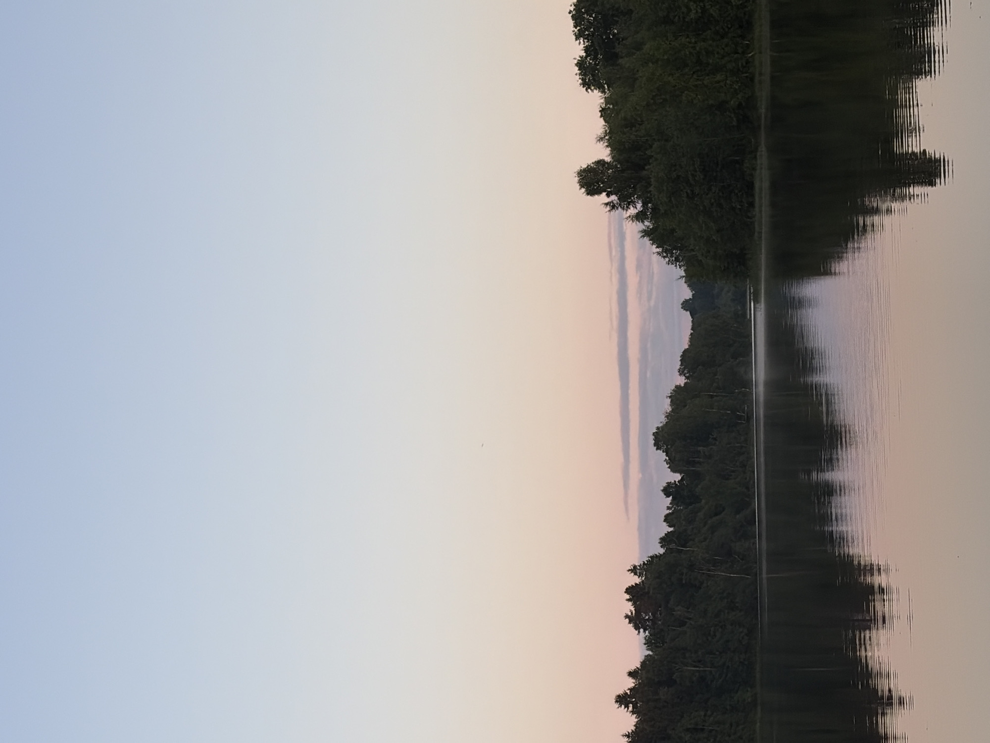 A wide-angle, eye-level shot captures a serene lake scene at dusk, under a gradient sky transitioning from pale blue at the top to soft pink and peach near the horizon. Dense, dark green foliage lines the distant shore, forming a thick forest that reflects imperfectly on the calm, still surface of the water. The water itself mirrors the muted colors of the sky and the treeline, with subtle ripples disrupting the reflection in the foreground. The overall impression is one of tranquility and natural beauty, devoid of human presence. The location is identified as Unknown, Unknown.