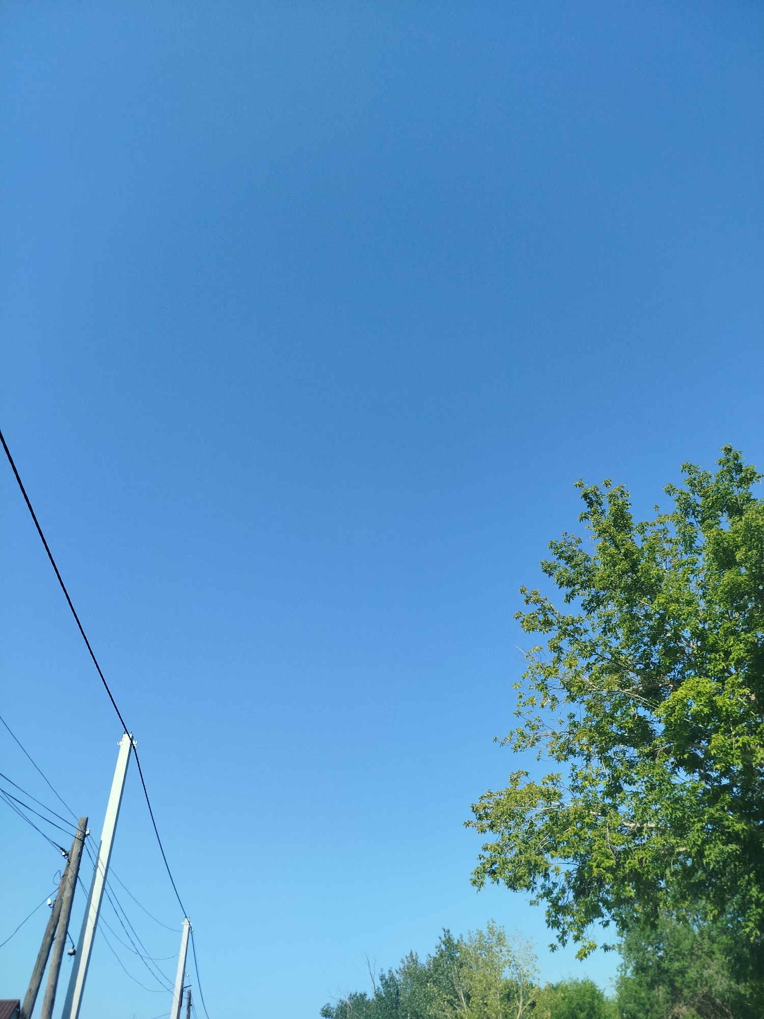 The image shows a clear blue sky with power lines and a tree. The power lines are strung between wooden and concrete poles, with wires running diagonally across the frame. To the right, a portion of a deciduous tree with green leaves is visible against the sky. The background is a solid expanse of blue, suggesting an outdoor setting on a sunny day. There are no people or animals present in the image.