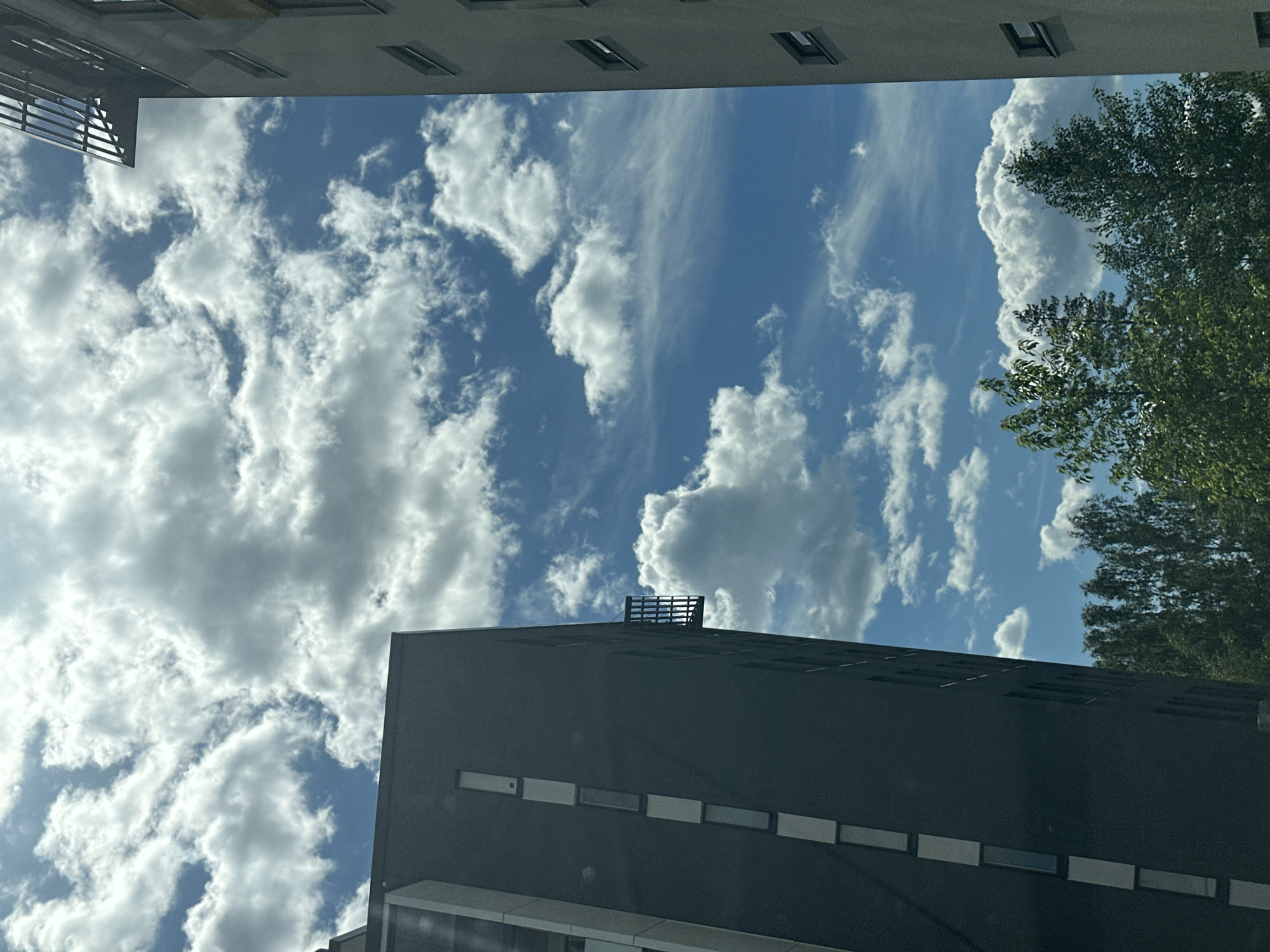 This is an outdoor, eye-level, medium shot of a building and the sky. The image is oriented sideways, with the sky taking up the majority of the frame and the buildings occupying the top and bottom portions. The sky is a vibrant blue, filled with fluffy white clouds, some of which are wispy and stretched out, while others are dense and voluminous. There are hints of green foliage from trees visible on the right side of the frame.
The buildings appear to be modern, with dark facades and rows of rectangular windows. One building in the lower half of the image has a dark, sloped roof with a slatted structure on top, possibly a ventilation or equipment cover. The upper portion of the image shows the underside of another building, with a railing or balcony structure and rectangular openings.
The lighting suggests it is daytime, likely a bright, sunny day given the clear blue sky and the contrast of the clouds. The overall mood is serene and perhaps a bit contemplative, with the vastness of the sky contrasted against the man-made structures. There is no visible text in the image. The scene is devoid of people. The setting appears to be urban or suburban, given the presence of modern architecture.