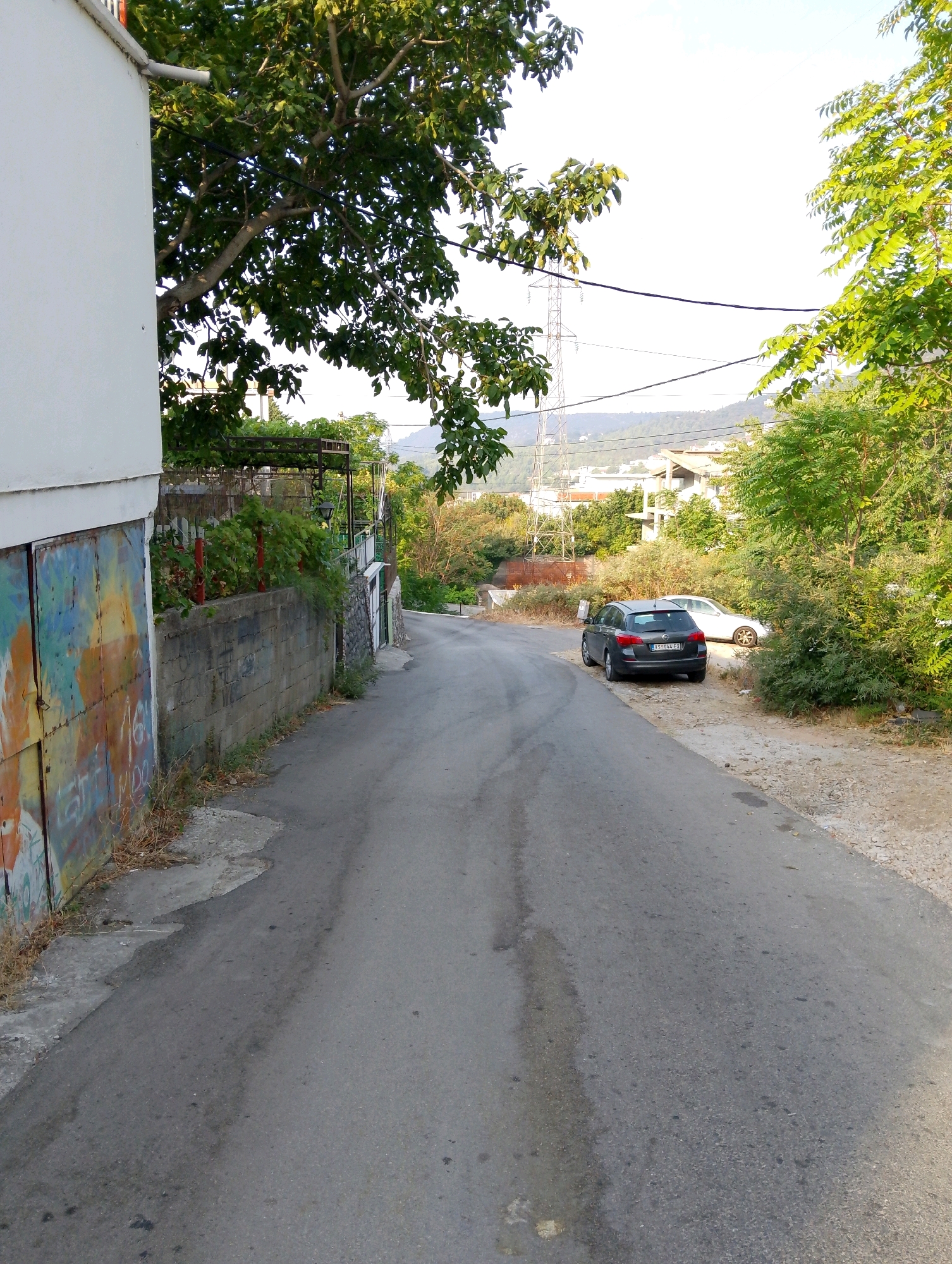This is a forensic, matter-of-fact description of an outdoor scene in Zgrade, Montenegro.
The image depicts a narrow, paved road winding upwards and to the right. The road surface is asphalt and shows signs of wear, including some darker patches and what appear to be water stains. On the left side of the road, a grey concrete wall runs along the property line. This wall is partially covered in colorful graffiti, featuring abstract shapes and some illegible lettering. Adjacent to the wall is a large metal garage door, also adorned with graffiti. Dry, brown vegetation is visible growing along the base of the wall and the edge of the road.
Further up the road on the left, a white building with a white downspout is visible, partially obscured by a large tree with lush green foliage. The tree branches extend over the wall and road.
On the right side of the road, there is a patch of unpaved ground covered in light-colored gravel and small stones. Two cars are parked on this unpaved area. The car closest to the foreground is a dark grey hatchback with the license plate "VE 094 EX". Behind it, a white sedan is parked. A dense cluster of green bushes and trees forms a backdrop on the right side of the scene.
In the background, beyond the houses and vegetation, a power transmission tower is visible on a hill. The sky is overcast with bright, pale light. The overall impression is that of a residential or semi-rural area.