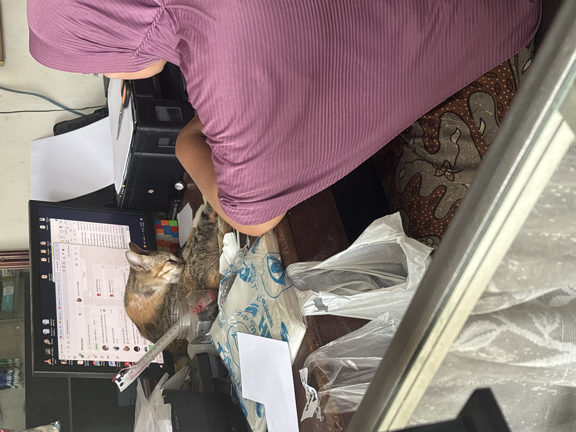 The image depicts an indoor scene, likely a home office or a small business area in Kolam, Indonesia. A woman wearing a purple hijab is seated in front of a computer monitor, her back to the camera. The monitor displays a WhatsApp web interface. On the desk, a cat is sleeping peacefully on a pile of plastic bags. Various office supplies, including papers, a printer, and a ruler, are scattered across the desk. The environment appears cluttered but functional, suggesting a busy workspace. The overall lighting indicates daylight, and the background suggests a modest interior setting.
