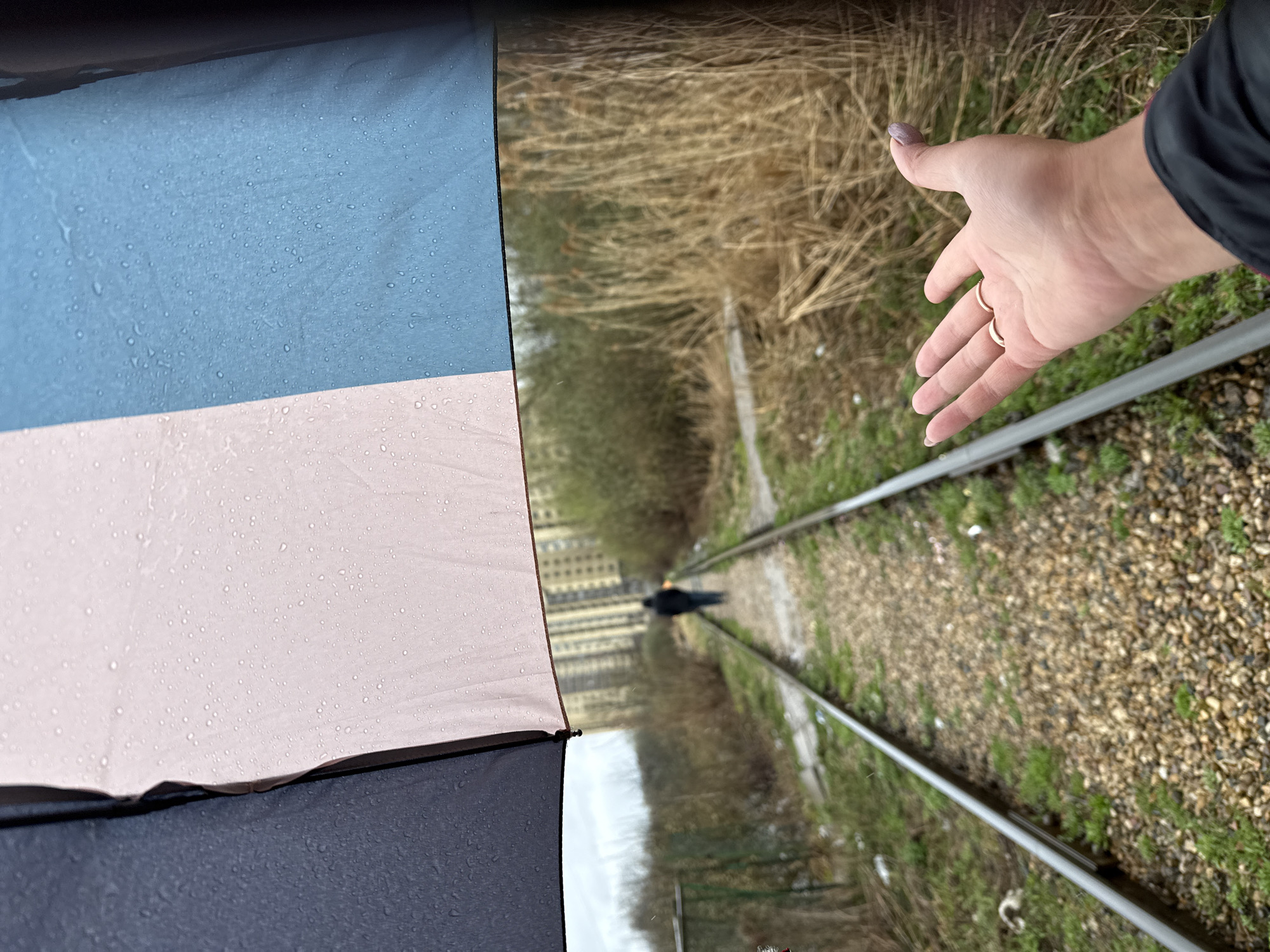 The photograph is taken from under a wet, partially open umbrella with blue, pink, and black panels. A person's hand is visible in the upper right, extending towards a set of parallel railroad tracks. The tracks recede into the distance, bisecting a landscape of vegetation and gravel. A dark figure stands in the distance between the tracks. Buildings are vaguely visible in the background. The location is Dmitrov, Russia, as suggested by the buildings.