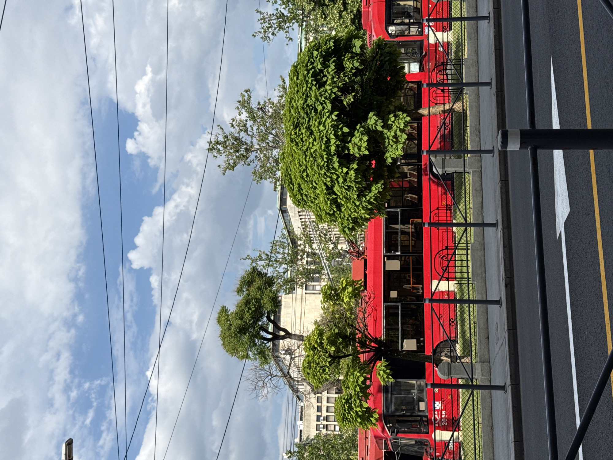 The image depicts a street scene in Belgrade, Serbia. Three red public transportation trolley buses are lined up along a city street, partially obscured by trees. A metal fence separates the trolley buses from the sidewalk. The street has a bicycle lane marked with white and yellow lines. Overhead electric wires are visible against a background of a cloudy, blue sky and buildings.