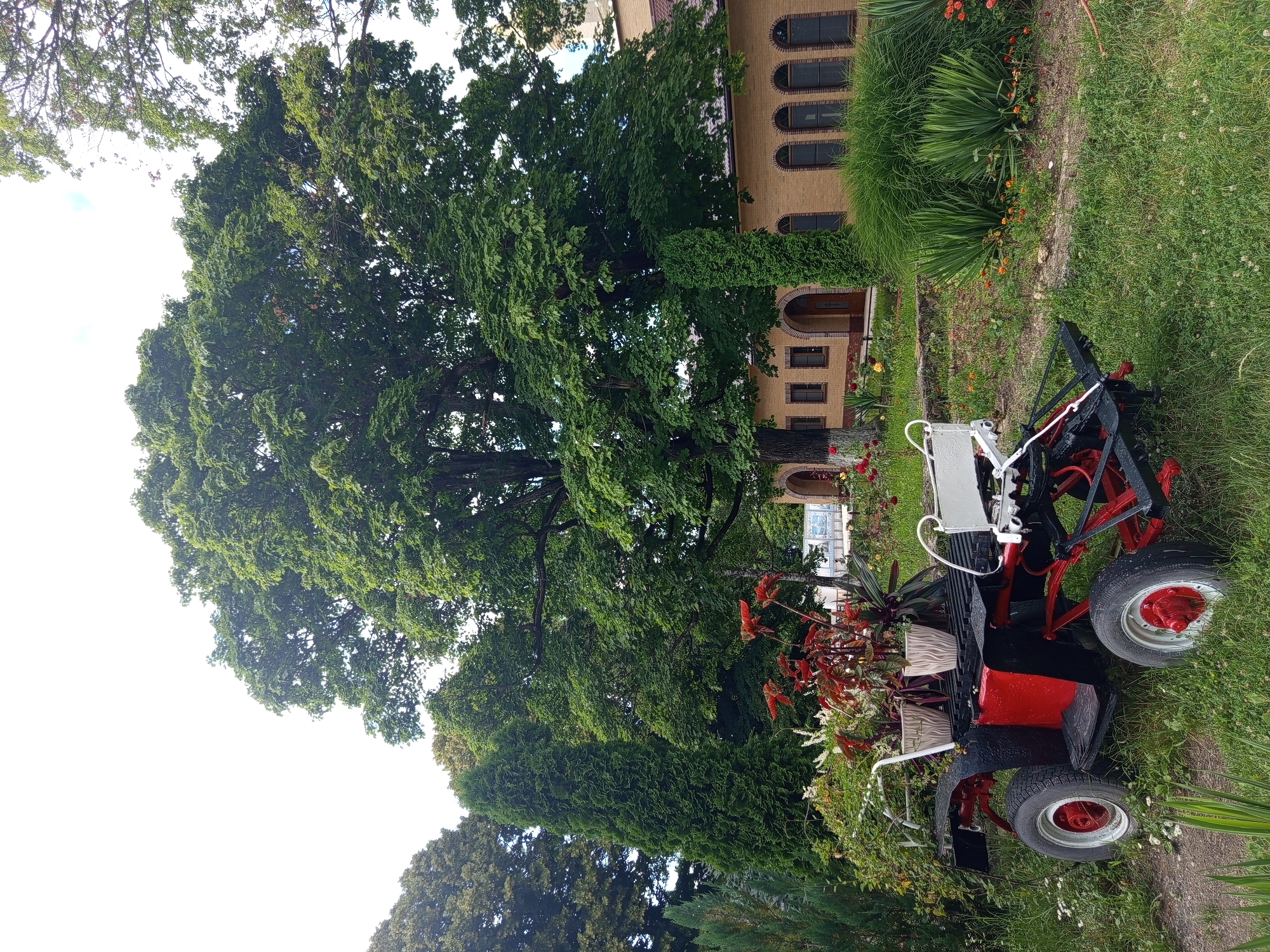 The image shows a red and black decorative cart filled with potted plants, including red-leafed plants and white flowers, positioned on a grassy area in front of a yellow brick building with arched windows and doorways. A very large, leafy tree dominates the background, with other green trees and foliage surrounding the scene. The setting appears to be a garden or park area, possibly associated with the building. No people are visible in the image. The cart has four wheels, two large ones in the rear and two smaller ones in the front, with red accents on the rims. The building has a brown tiled roof and appears to be well-maintained.