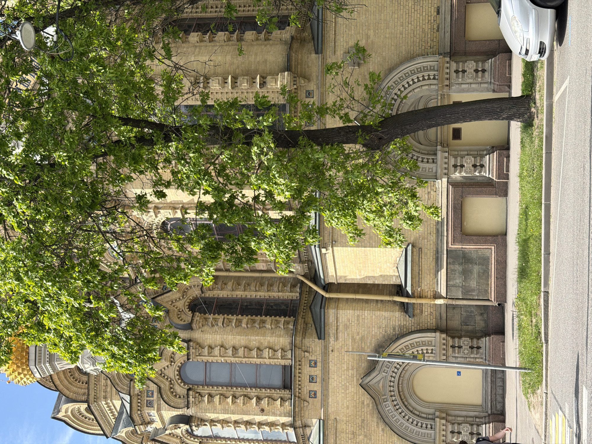 The image displays an ornate building, a lush tree, and a street scene under bright daylight. The building, constructed from light yellow brick, occupies most of the background. It features elaborate architectural details including arched and rectangular windows, decorative columns, cornices, and friezes. Small square tiles with geometric patterns adorn sections of the facade. A golden dome is partially visible against a clear blue sky in the upper left, suggesting a church or significant historic structure.
A large tree with a thick trunk stands prominently in the foreground, its abundant green foliage partially obscuring the building. Some bare branches are also visible amidst the leaves, indicative of spring or early summer. Bright sunshine casts soft shadows.
To the right, a sidewalk runs alongside a strip of vibrant green grass, bordering a paved road with white markings. A white car is parked on the side of the road, with its front headlight and bumper visible. A light pole with a round fixture is seen through the tree's branches in the upper left of the frame. Further down, another pole features a blue square sign displaying a white symbol, possibly an accessibility icon. A person wearing dark clothing is partially visible in the lower right corner of the frame. The scene suggests a sunny day in an urban environment, likely in a historic European city.
