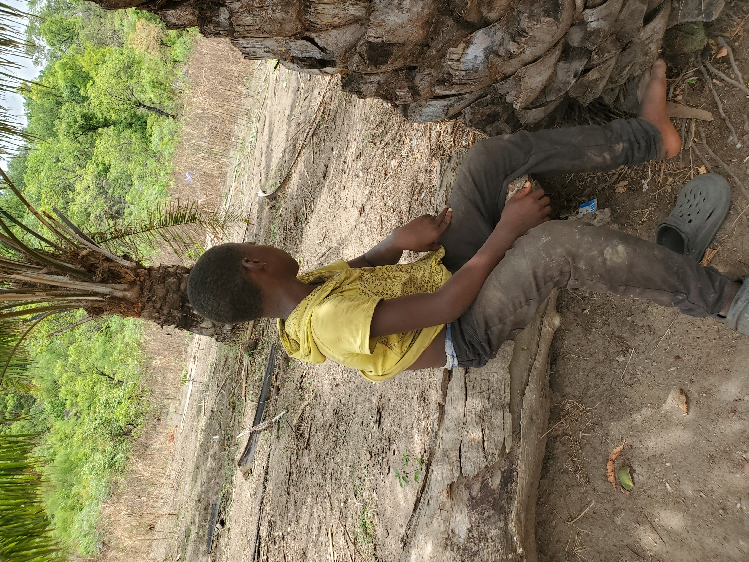 A young individual, likely a boy, is depicted sitting on the dry, dusty ground, leaning against the rough, textured trunk of a palm tree. The person wears a yellow short-sleeved top and dark trousers that appear worn or soiled. One foot, the left, is bare, while the right foot wears a grey Crocs-style shoe. Their arms are resting on their bent knees, with the left hand holding a small object, possibly a stone or piece of wood. The individual's gaze is directed upwards and to the left, towards the verdant landscape in the background.
The immediate surroundings consist of dry earth, sparse dry vegetation, and scattered debris including a piece of plastic litter near the right foot. A larger, weathered piece of wood or tree trunk lies horizontally in front of the person. Beyond this, the background reveals a dense area of lush green trees and bushes, typical of a rural or semi-rural environment. Another palm tree is partially visible on the far left. The scene is brightly lit by natural daylight, indicating it is daytime. The overall impression is one of a quiet moment of rest or observation in a natural setting. The location cues, such as the palm trees and green landscape, are consistent with Mararaba, Nigeria. No visible text is present in the image.