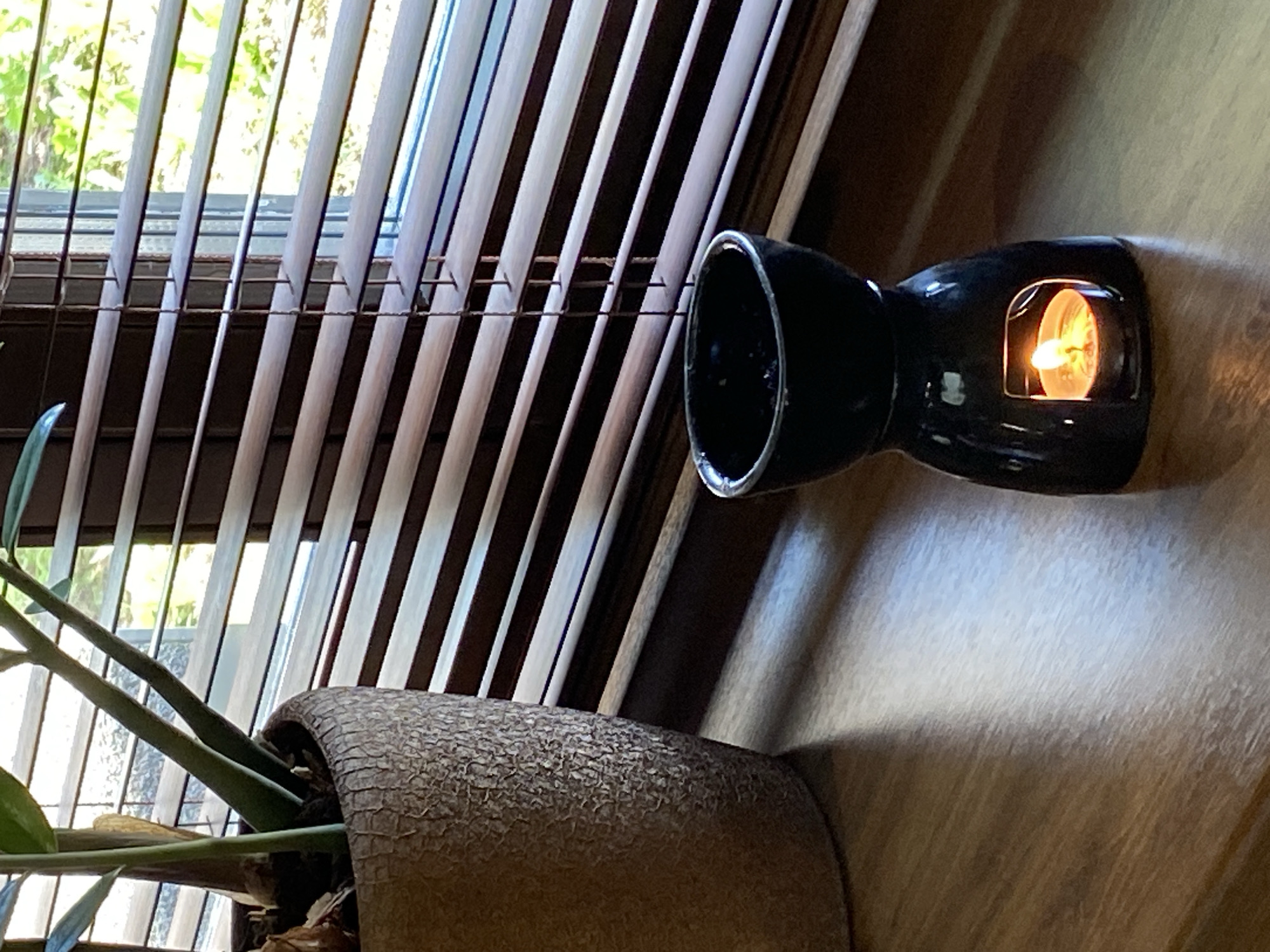 A close-up, angled shot captures a domestic interior scene. Venetian blinds are partially visible in the upper-left quadrant, allowing daylight to filter through. To the left of the frame, a potted plant with elongated green stems is positioned near the blinds. In the right portion of the image, a black ceramic oil warmer sits on a wooden surface, with a lit candle visible through its opening. The scene is bathed in soft, indirect sunlight, which enhances the textures and details of the various objects. There is no direct evidence to place the scene specifically in Votkinsk, Russia.