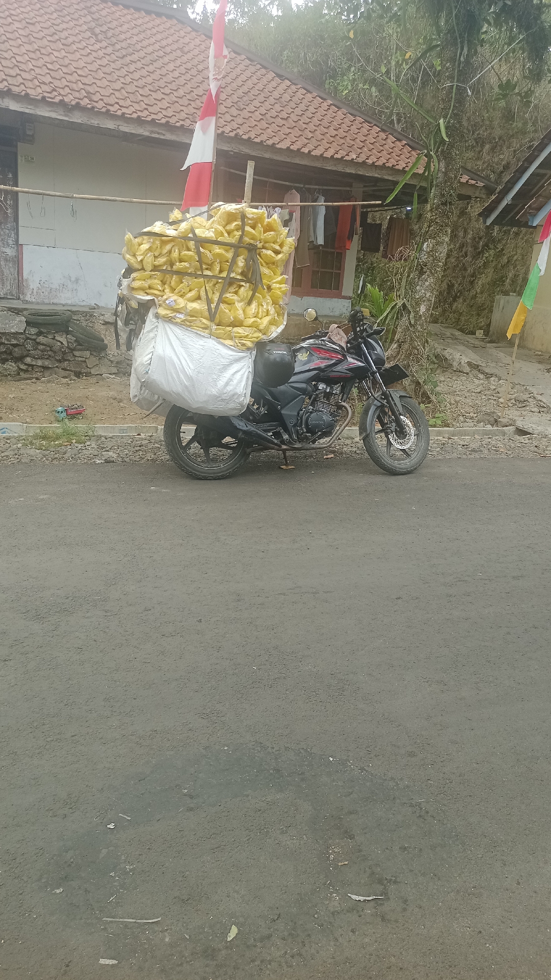 A motorcycle is parked on the side of a paved road in front of a house. The motorcycle is black and red and has a large load of yellow packages strapped to the back. The packages are stacked high and secured with ropes. A white tarp is underneath the yellow packages. The house has a red tiled roof and appears to be made of concrete. There is a tree with lush green foliage next to the house. The ground is covered in gravel and dirt. A flag is flying from a pole in front of the house. There are clothes hanging on a line outside the house. The scene appears to be in a rural or semi-rural area.