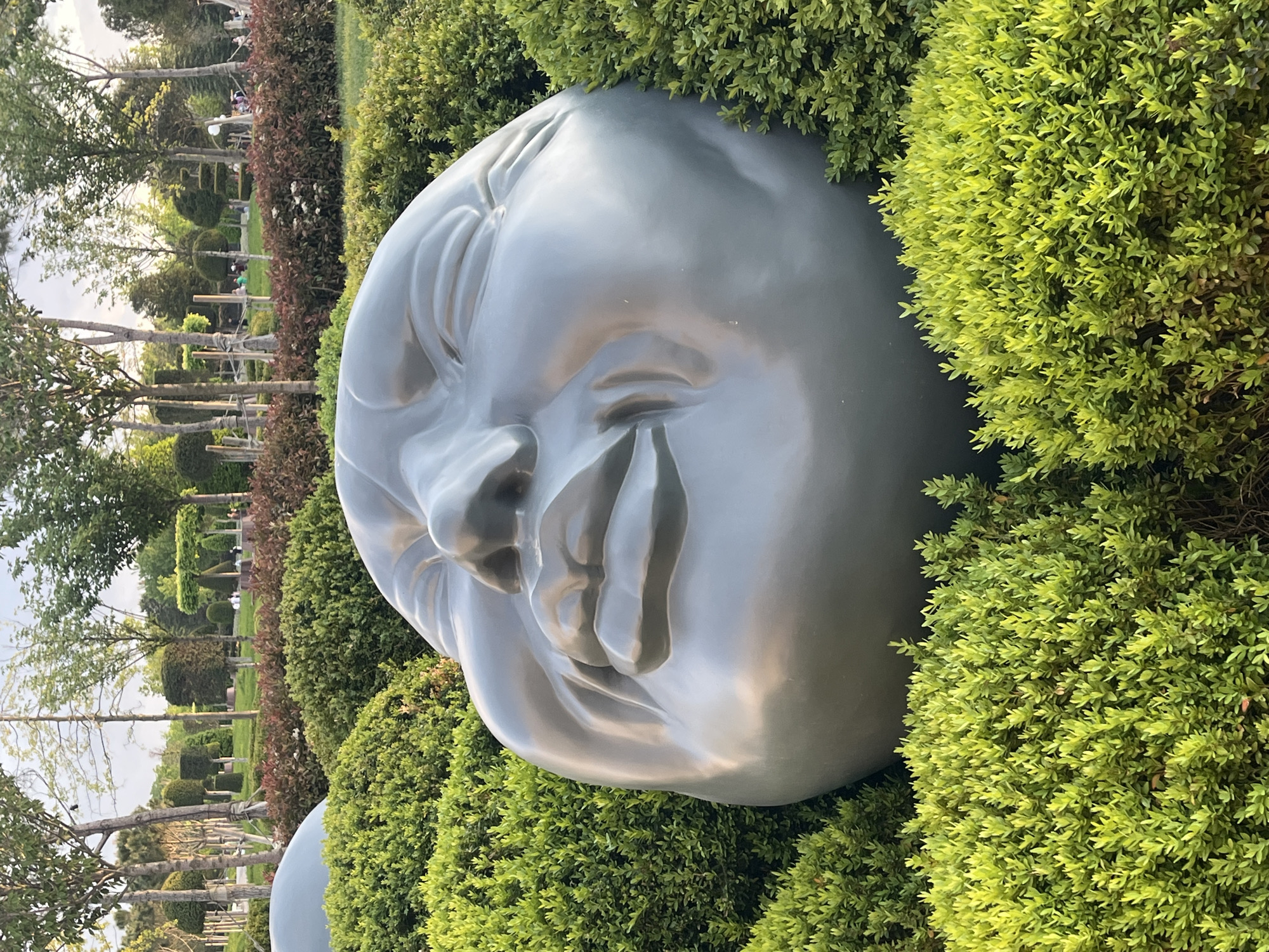 A large, smooth, gray sculpture of a human face rests among dense green shrubbery in a park. The face is sculpted with a slight smile, detailed lips, and visible creases on the forehead. The shrubs completely surround the face, giving the impression that it is emerging from the foliage. In the background, a landscaped park stretches into the distance, with neatly trimmed hedges and rows of trees. The sky is visible above the trees. This sculpture is located in Krasnodar, Russia.