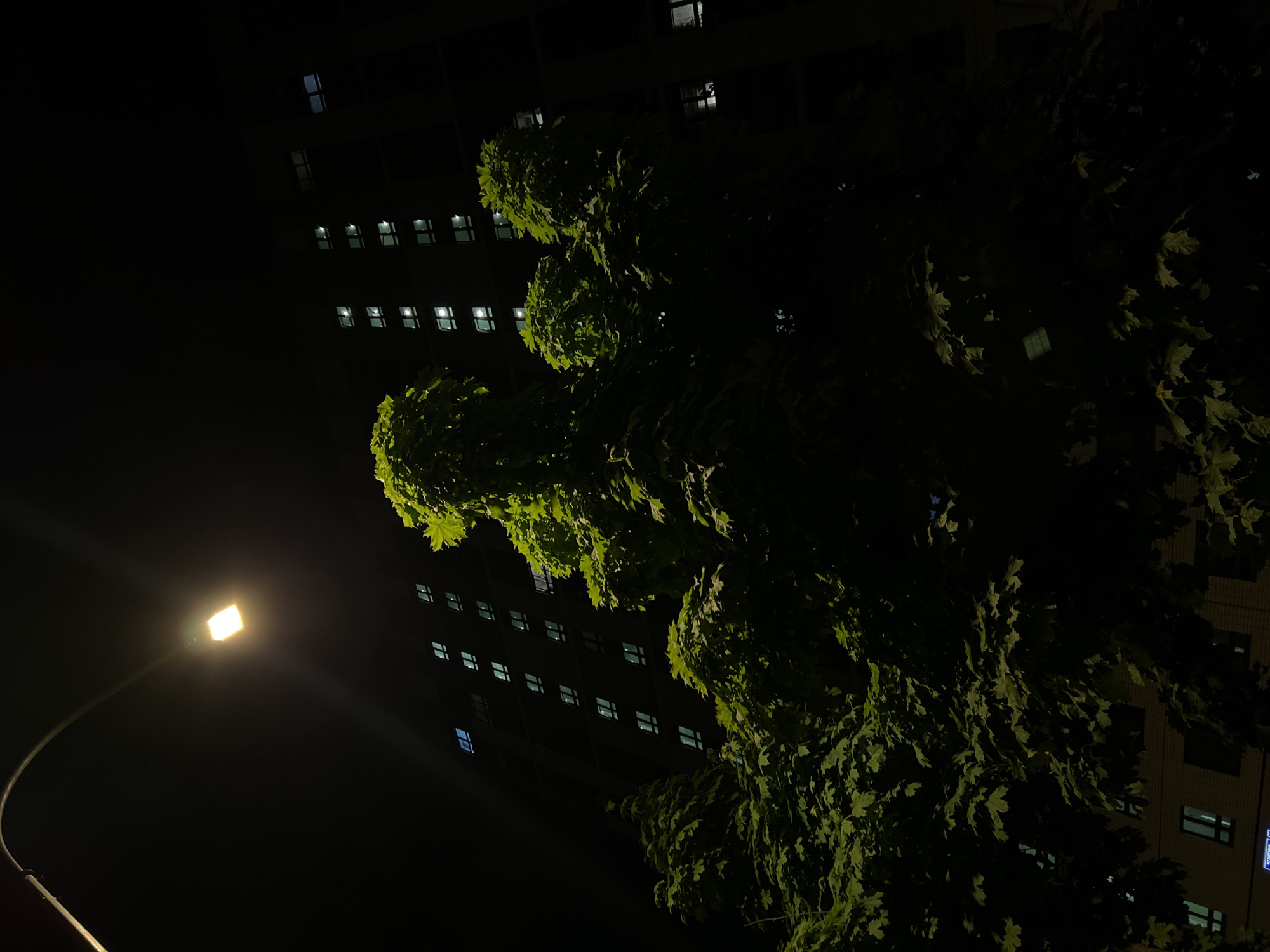 The image depicts a night scene in an urban area, potentially in Moscow, Russia, with a building visible in the background. The building has numerous lit windows, suggesting it might be a residential or office structure. A large tree with dense foliage occupies the right side of the frame, partially obscuring the building. A street lamp on the left illuminates the scene, casting light on the tree and nearby surroundings. The overall atmosphere is dark with contrasting bright lights.