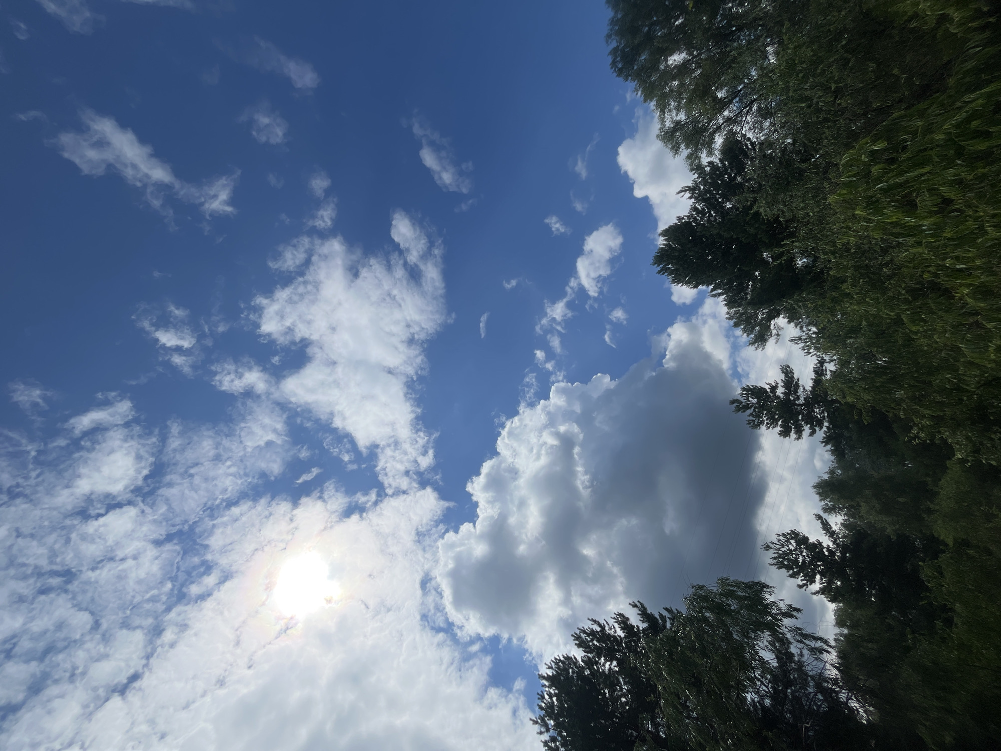 The image shows a bright, partly cloudy blue sky over a dense line of green trees. In the upper left, the sun is shining brightly, partially obscured by white, fluffy clouds. The sky is a vibrant blue with scattered cumulus clouds. The trees form a dark green silhouette along the bottom of the image, with varied textures suggesting different species. Some taller, pointed evergreen trees are visible amongst softer, leafy foliage. The overall scene depicts an outdoor natural environment. The location is identified as Pohreby, Ukraine.