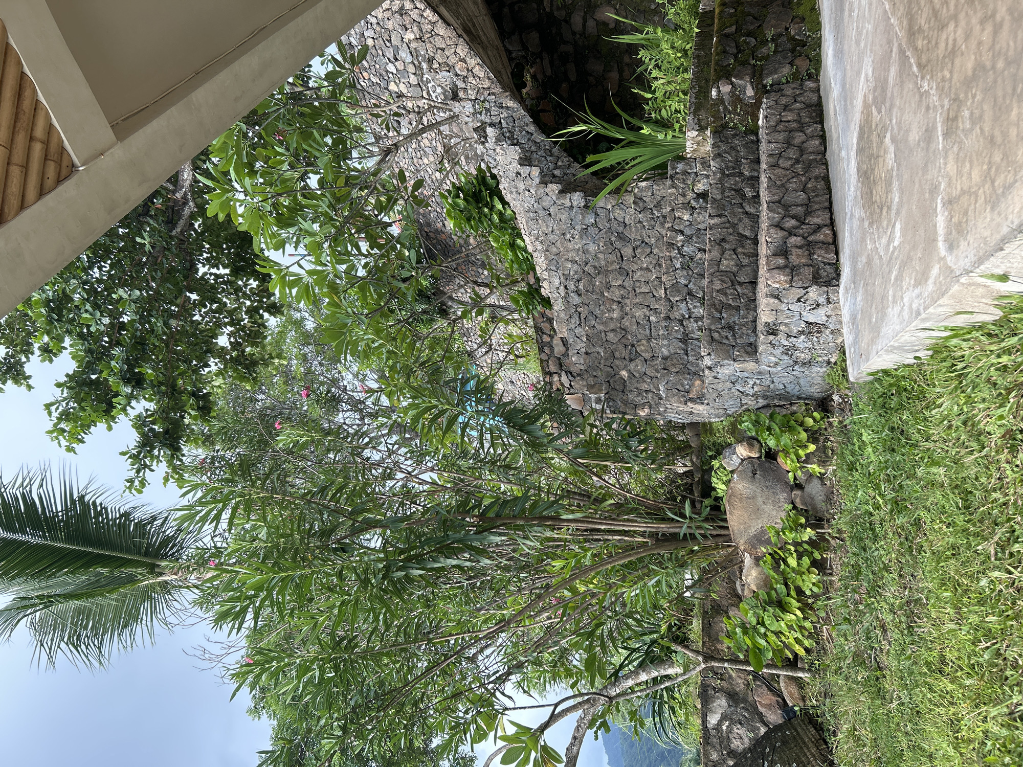 The image shows a stone staircase leading up a hillside, possibly near a building. The steps are constructed of irregularly shaped gray stones. Vegetation including trees, bushes, and grass grows alongside the stairs. The sky is visible through the trees. The staircase is partially obscured by trees and foliage. Some structural components, possibly from a building, appear at the top left corner. The location is Senggigi, Indonesia.
