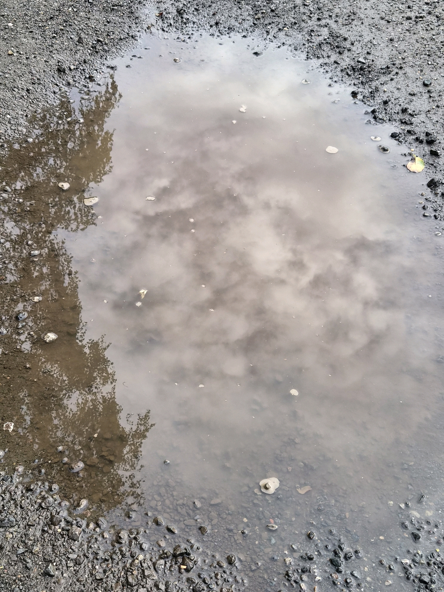 The image shows a puddle of muddy water on a gravelly surface. The puddle reflects the sky, which appears cloudy. The reflection of tree branches is visible on the left side of the puddle. There are small pebbles and debris in the puddle and around its edges. The scene is devoid of people or any discernible activity. The setting appears to be an outdoor area, possibly a road or pathway, in Schiffdorf, Germany.