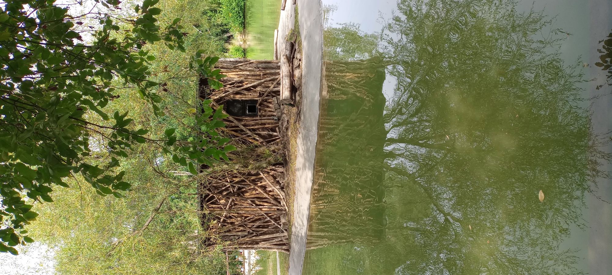 The image depicts a rustic wooden structure built from various sized branches, situated on a small island or peninsula surrounded by water. The structure has a small, dark, rectangular opening that appears to be a window or entrance. The building is partially obscured by lush green foliage from overhead trees. The water surrounding the structure is a greenish hue and reflects the trees and the building itself, creating a mirrored effect. In the background, more trees and a body of water are visible. The foreground shows a concrete edge bordering the water. The scene appears to be an outdoor exhibit or enclosure, possibly at a zoo or wildlife park. Based on the provided context, this scene is located at the Zoom Gelsenkirchen in Gelsenkirchen, Germany. No people are clearly visible in the image.