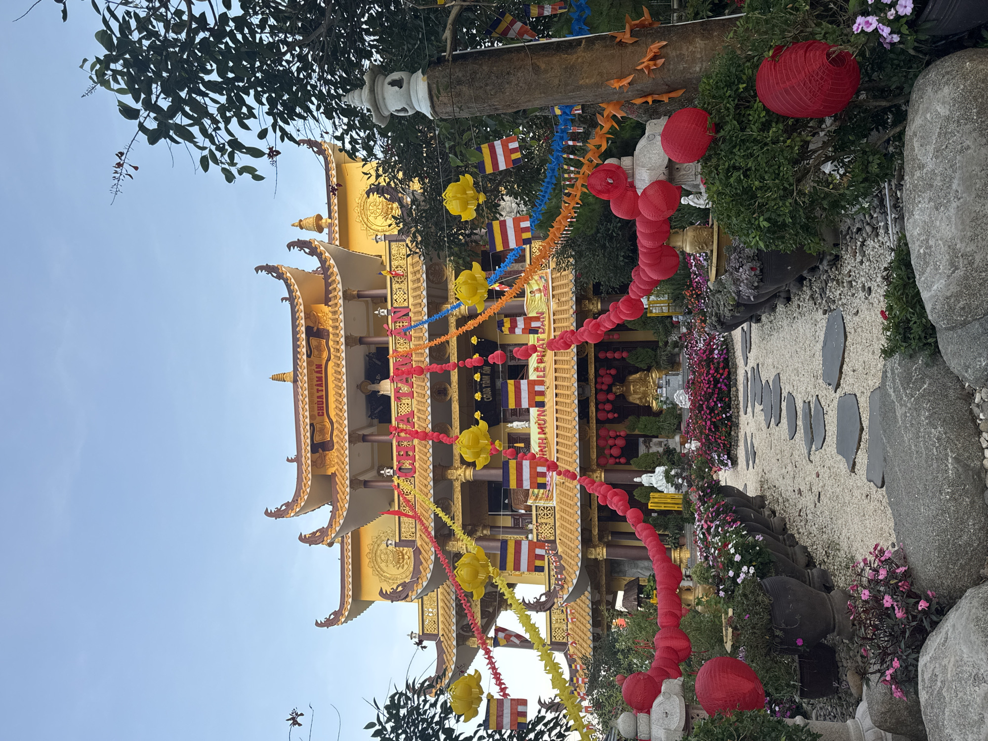 A wide shot captures the exterior of Chua Tam An, a Buddhist temple located in Da Lat, Vietnam, under a clear blue sky. The temple's architecture is characterized by its multi-tiered, ornate yellow roof with dragon-like embellishments. Red and yellow streamers, adorned with lotus-shaped lanterns and Tibetan prayer flags, are strung across the facade, creating a festive atmosphere.
In the foreground, a stone pathway winds through a meticulously landscaped garden. Large gray stones and potted plants filled with vibrant pink and purple flowers line the path. Several large, dark gray pots hold green foliage. Red paper lanterns are prominently featured, hanging from trees and bushes, and clustered together.
A statue of a seated Buddha, in a golden hue, is visible at the rear of the garden, positioned centrally within the temple's entrance. White statues, possibly of deities or bodhisattvas, are also present. The overall scene suggests a place of worship and cultural celebration, possibly during a festival or special occasion, given the abundance of decorative elements. The environment appears serene and well-maintained.