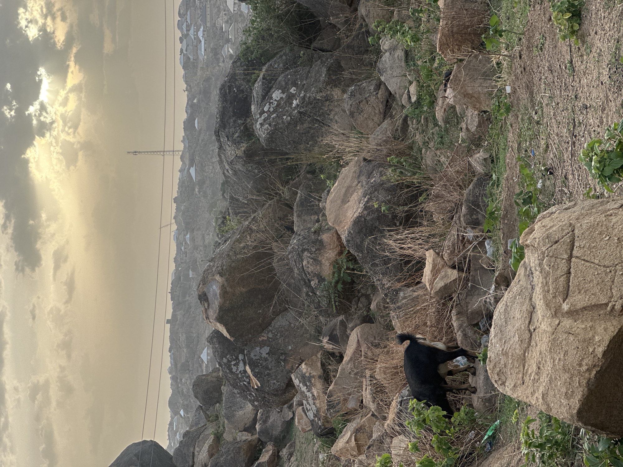The image depicts a rocky hillside in Jos, Nigeria. The landscape is composed of large boulders and dry vegetation, with a view of buildings in the distance under a hazy, cloudy sky. A black goat stands among the rocks and vegetation in the foreground. Trash is visible among the rocks. Overhead electrical lines are visible.