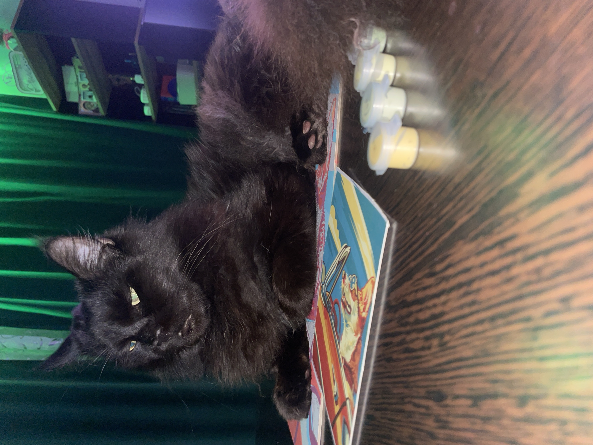 A black cat lies on top of a book, with several small containers arranged nearby on a wooden surface. The cat's paw and part of its body rest on the book, which has a colorful illustration. The containers are filled with a yellow substance. A shelf with various items is visible in the background, with a green curtain behind it. The scene appears to be indoors. The location is not possible to determine as Chaikovsky, Russia. is not visible in the image.