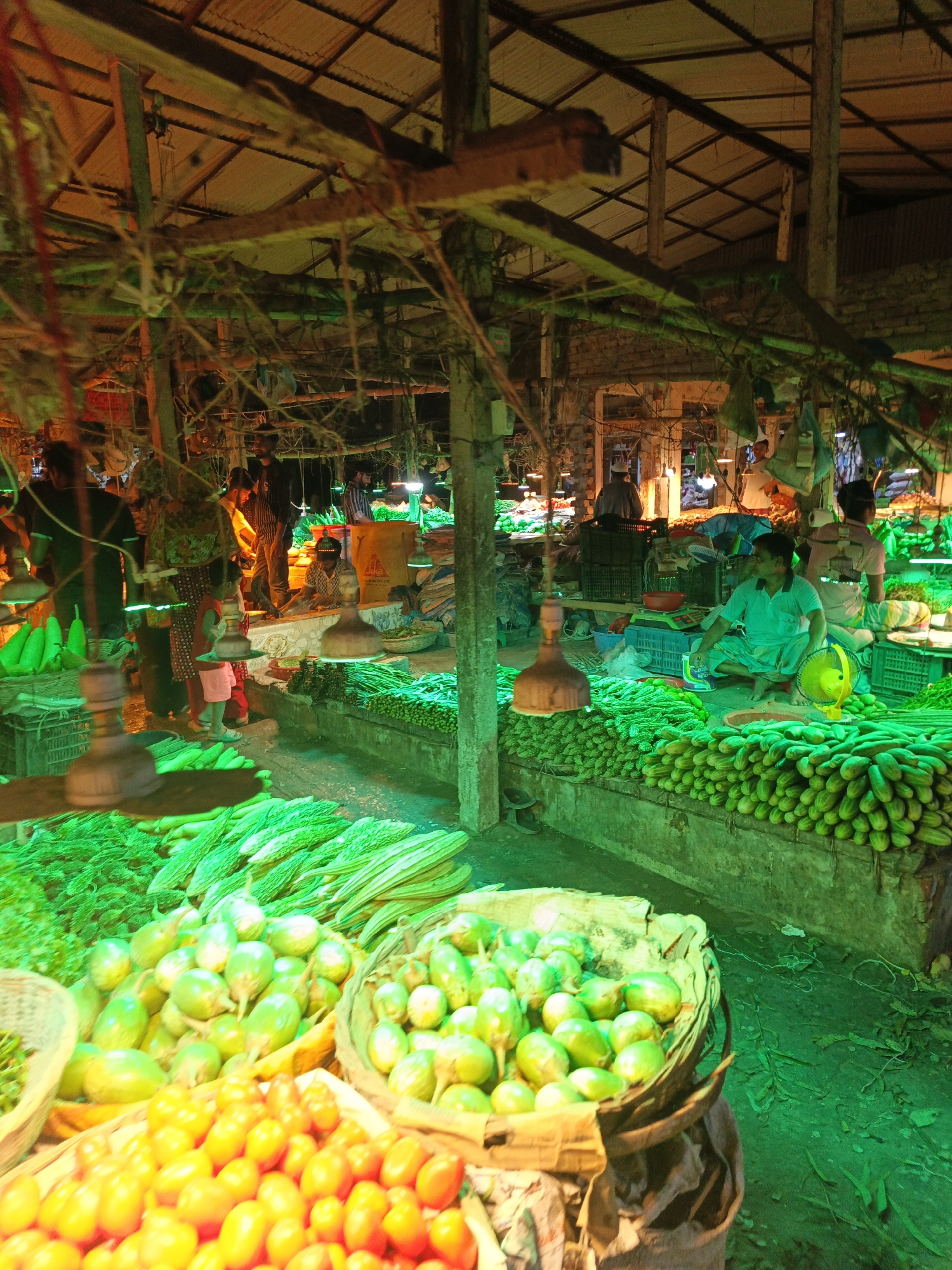 This image captures a vibrant and bustling indoor vegetable market in Dhaka, Bangladesh. The scene is dominated by strong, artificial lighting, with an intense green hue illuminating the fresh produce in the foreground and mid-ground, and warmer yellow-orange light in the upper sections and background.
Numerous people are present, appearing to be both vendors and customers. Several men are seen tending to their stalls; one man in a white tunic is squatting amongst large piles of green vegetables, near a yellow portable fan. Others are standing or moving through the market, including a child in a pink outfit.
The market stalls are overflowing with a wide variety of fresh vegetables. Prominently displayed are huge quantities of green produce, including long, ridged bitter gourds, abundant piles of cucumbers, and small, light green eggplants in woven baskets. In the immediate foreground, a basket holds numerous bright yellow-orange fruits, possibly a type of small tomato or pepper. Other leafy greens are also visible. The produce is arranged on elevated concrete platforms, in baskets, and directly on the ground.
The market structure features a corrugated metal roof supported by wooden beams and posts. Various wires and hanging light fixtures, some emitting the distinctive green glow, are strung overhead. In the mid-ground, a white plastic crate has the partial text "JI KA" visible on its side. The overall atmosphere suggests a busy commercial hub, likely operating in the evening or at night given the heavy reliance on artificial illumination. The distinctive lighting and array of fresh produce create a lively and immersive market experience.