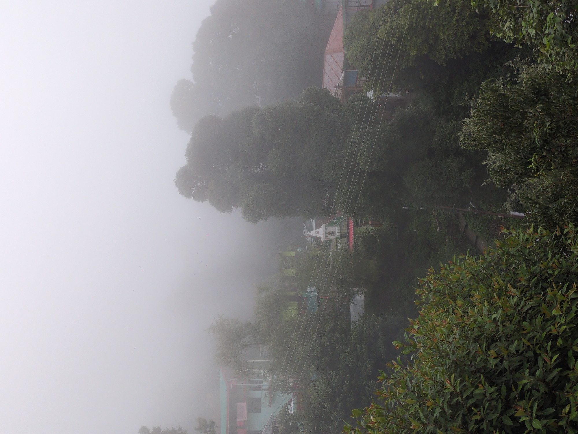The image depicts a village in the misty hills of Haini, India. In the foreground, lush green foliage dominates the lower portion of the frame. Behind this, several multi-story buildings with colorful facades, including green and pink, are partially obscured by the dense fog. Overhead power lines crisscross the scene. Further into the background, large trees with dense canopies are visible, also softened by the mist. A small, white structure, possibly a temple or shrine, with a tiered roof and a spire, stands out amidst the greenery and fog. The overall atmosphere is serene and somewhat mysterious due to the heavy fog, which limits visibility and blurs the details of the landscape.