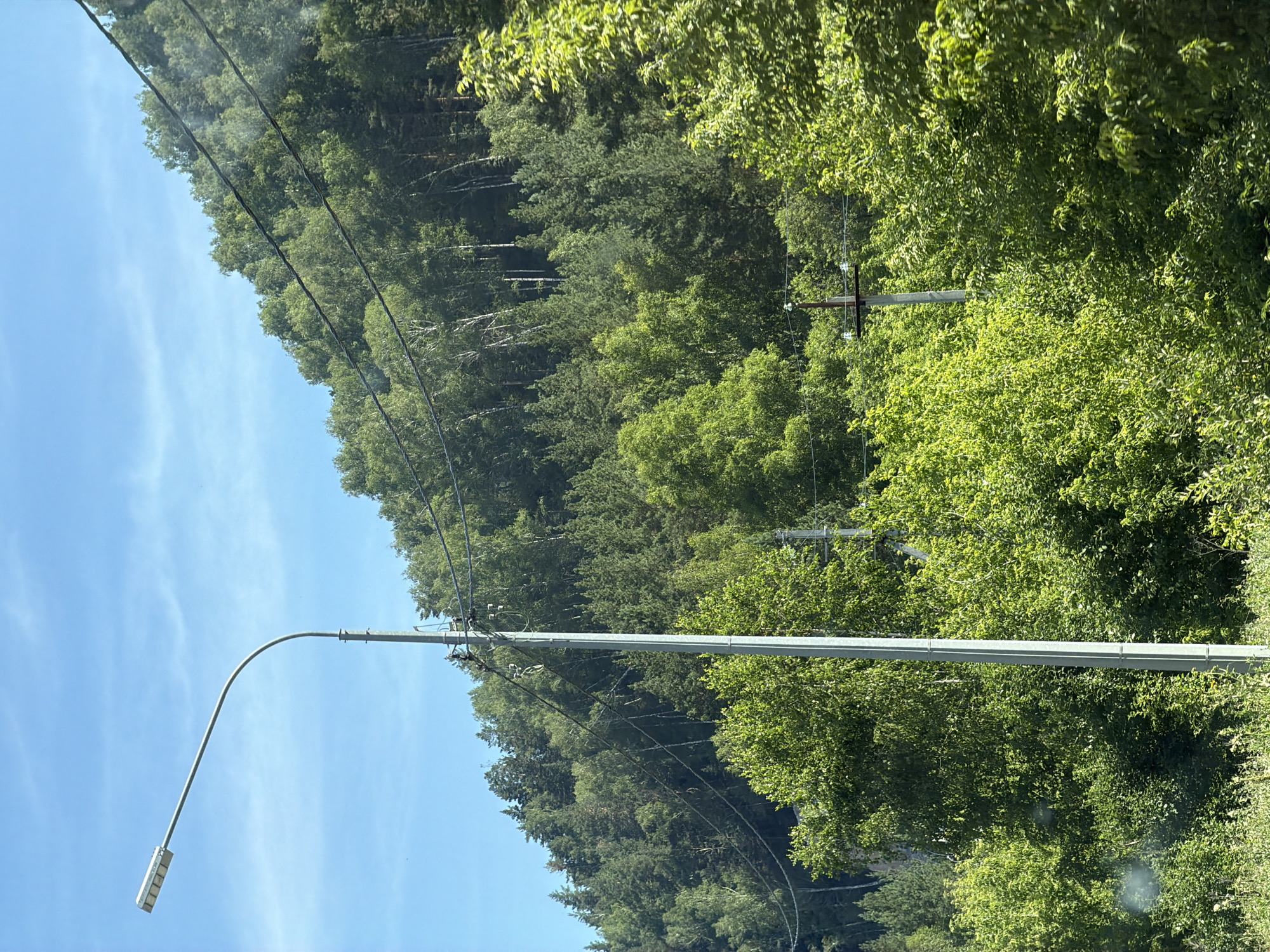 The image depicts a scene in Ust-Muny, Russia, characterized by a lush, green forest covering a sloping hillside under a clear blue sky. In the foreground, a tall, silver street lamp with a curved arm extends from the left side of the frame. The lamp itself is rectangular and faces left. Partially visible behind the lamp pole are several dark power lines traversing the scene. The hillside is densely populated with a variety of trees, including deciduous trees with bright green leaves and coniferous trees. The overall impression is one of a natural, verdant landscape. There are no people or animals visible in the image. The presence of the street lamp and power lines suggests this is either a developed area on the outskirts of the town or a roadside location within or near Ust-Muny.