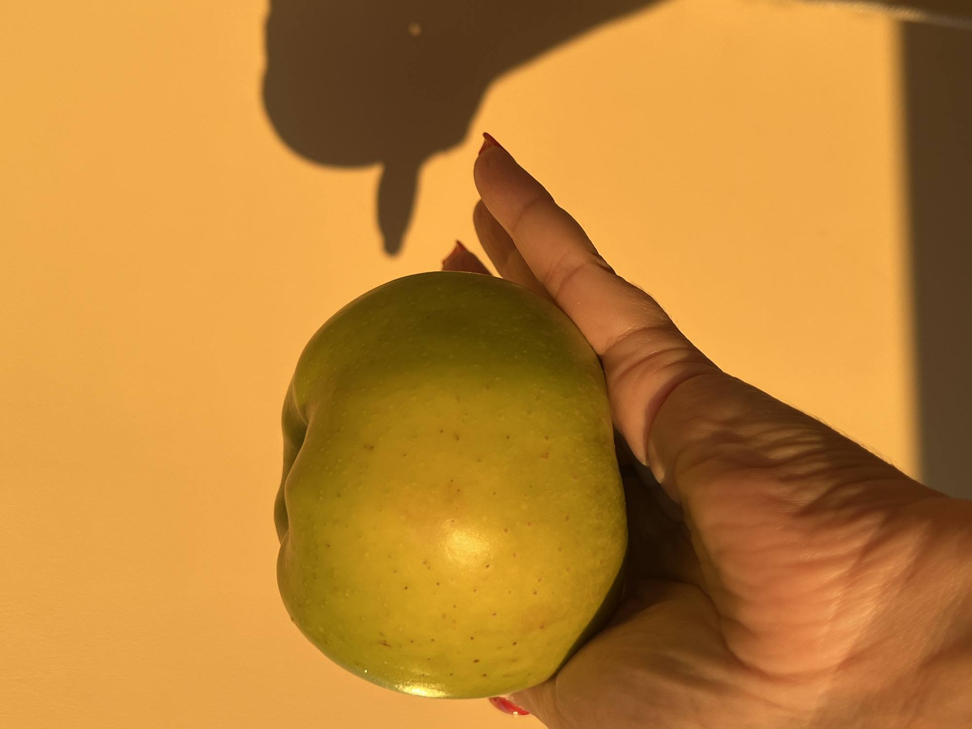 A close-up shot shows a green apple balanced on a person's open palm. The apple is round and appears smooth, with a few tiny dark specks scattered across its surface. The skin of the apple reflects the warm, orange light that illuminates the scene, creating a soft sheen. The hand holding the apple is pale and has finely wrinkled skin on the palm, suggesting an older individual or one that has experienced significant sun exposure. Red nail polish is visible on the fingernails, adding a pop of color. The background is a uniform, warm orange, possibly a wall or a backdrop, bathed in strong directional light that casts a prominent, dark shadow of the apple and hand onto the surface. The shadow is elongated and distorted, indicating a low angle light source. The setting does not contain any specific landmarks or elements that would allow for precise location identification within the city of Minsk, Belarus. The overall impression is one of simplicity and focus on the fruit and hand, enhanced by dramatic lighting.