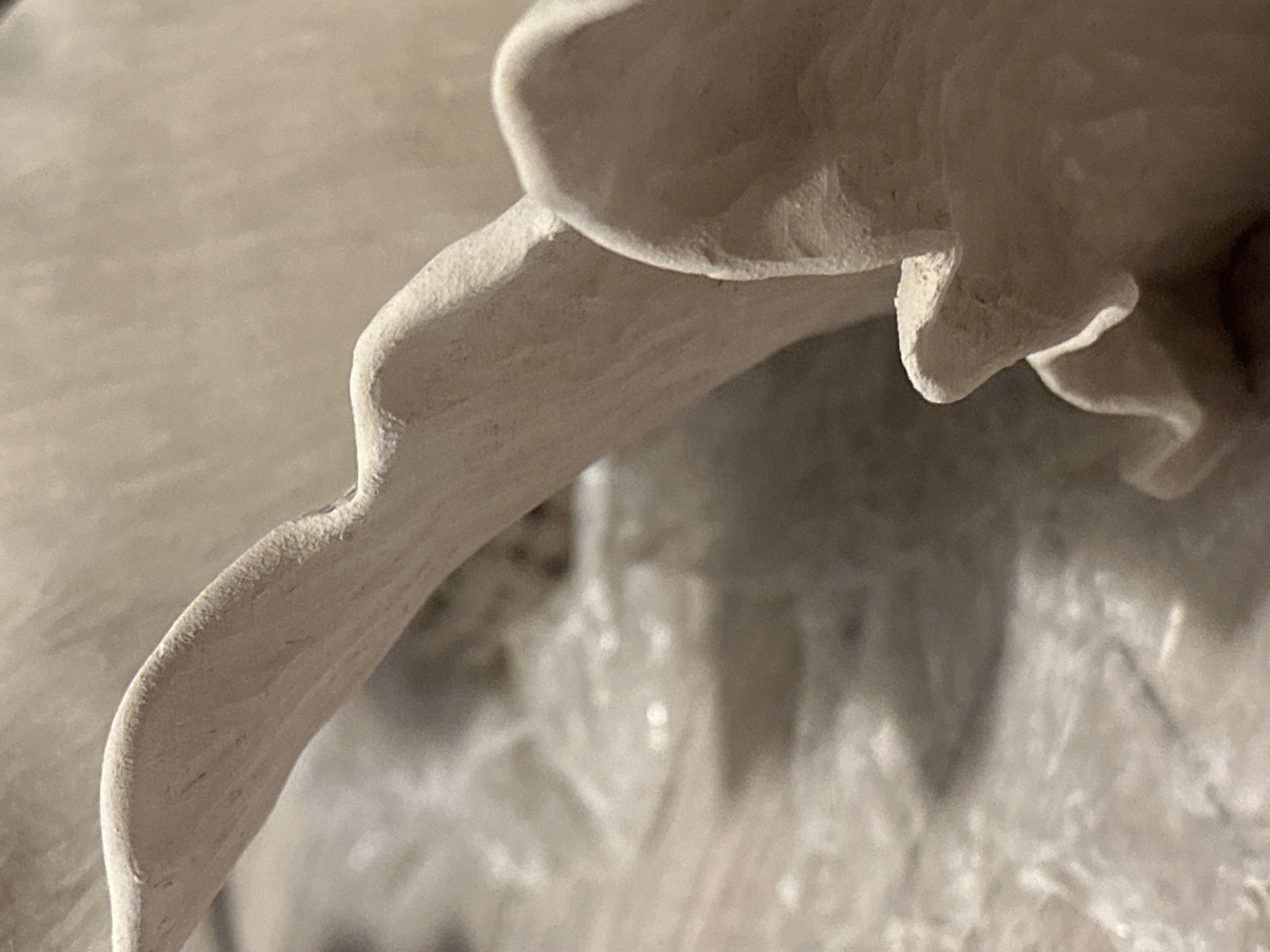 The image shows a close-up of a light-colored, textured material that appears to be unfired clay or plaster. The material has been shaped into organic, flowing forms with curved edges and subtle undulations. The lighting casts shadows that highlight the texture and contours of the object. The background is out of focus, with a muted, neutral tone that suggests an indoor setting. There is no indication of the city of Nevinnomyssk, Russia, or any specific environmental details that would place it in that location. The subject is an abstract sculptural form.