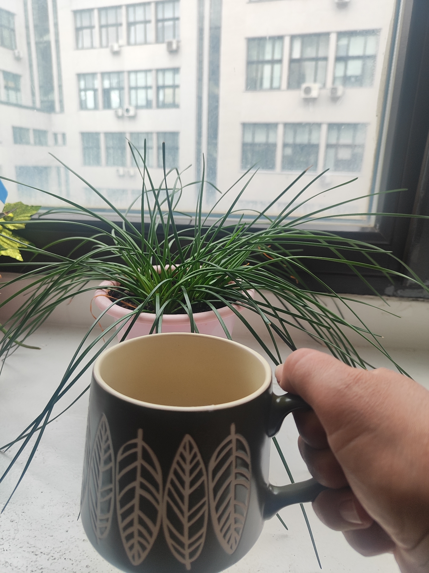 A hand holds a dark green mug with a leaf pattern, its interior visible and light-colored. The mug is positioned in the foreground, obscuring some of a potted green plant with long, slender leaves. The plant sits on a white surface, likely a windowsill, which also shows some light texture. Behind the plant, a window reveals a blurry view of a building with multiple windows and air conditioning units. The overall lighting suggests it could be daytime, but the overcast conditions are not explicitly clear. There is no visible text in the image.