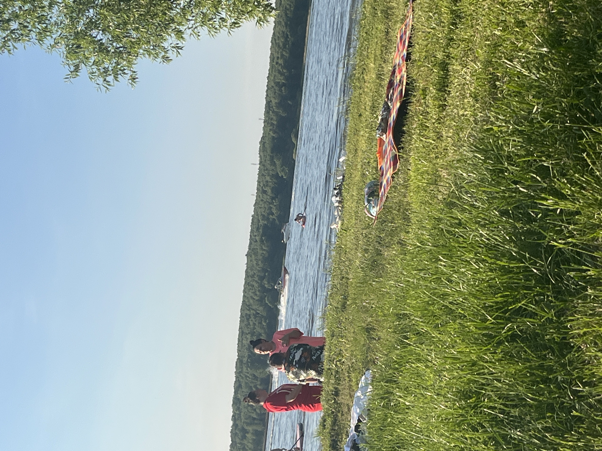 This image depicts an outdoor leisure scene in Kapustino, Russia, under a clear, light blue sky. The foreground is dominated by vibrant green grass. In the lower right, a red, orange, and blue plaid blanket is spread on the grass, with various items resting on it. To the left of the blanket, near the water's edge, several crumpled white objects and other debris are visible on the grass.
In the mid-ground, a body of water, likely a river or lake, extends across the frame. Standing near the water's edge on the left are three individuals engaged in conversation. One person on the far left wears a red top; another in the center has their back to the camera, wearing a patterned shirt; and a third person on the right wears a pink top. To the left of this group, a single person is seen on a red paddleboard or small watercraft, facing right. Further out on the water, a red and white speedboat generates a significant wake as it travels from right to left, and another dark shape, possibly a person or object, is visible in the water beyond it.
The background features a dense treeline or forest bordering the far bank of the water. Above this treeline in the mid-right, several tall, slender structures, resembling industrial poles or communication towers, are visible against the horizon. A section of a leafy green tree branch frames the upper right portion of the image.