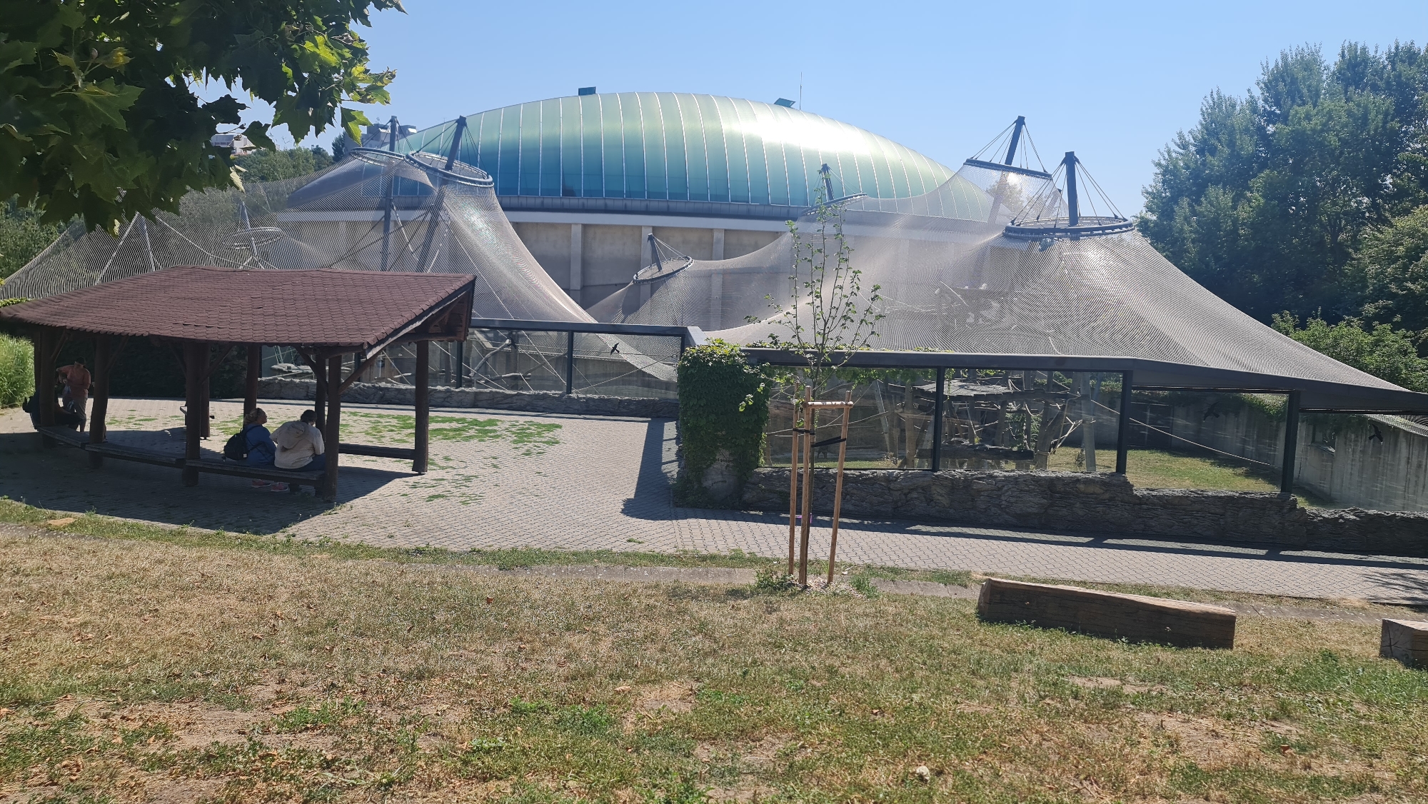 The image depicts an outdoor enclosure, likely at a zoo or wildlife park, under a clear blue sky on a sunny day. In the foreground, a section of dry, yellowed grass is visible, with a weathered wooden log lying horizontally on it. Behind the grass, a paved walkway made of interlocking bricks forms a patterned surface.
To the left of the walkway is a dark brown, wooden, open-sided pavilion with a multi-pitched shingled roof. Inside the pavilion, three individuals are seated on a long wooden bench. One person on the far left appears to be standing and interacting with someone seated. Two other individuals are seated next to each other in the center of the bench.
Dominating the background is a large, dome-shaped structure with a translucent green roof, supported by a beige concrete facade. This dome is partially covered by a wide, white, mesh-like netting, which also extends to cover a large, angled enclosure in front of it. This enclosure features a glass barrier along its front, with a stone-like wall below it. Inside the enclosure, various structures that resemble climbing frames or trees are visible, suggesting it is an habitat for animals. A small, young tree with thin branches is planted just in front of the glass barrier, with two wooden stakes supporting it. A dense growth of ivy covers a cylindrical structure on the left side of the enclosure. Lush green trees line the horizon in the distance, behind the dome structure and to the right of the image.
The overall scene suggests a public space designed for viewing animals, with amenities for visitors. The location is identified as the Bratislava Zoo in Bratislava, Slovakia.