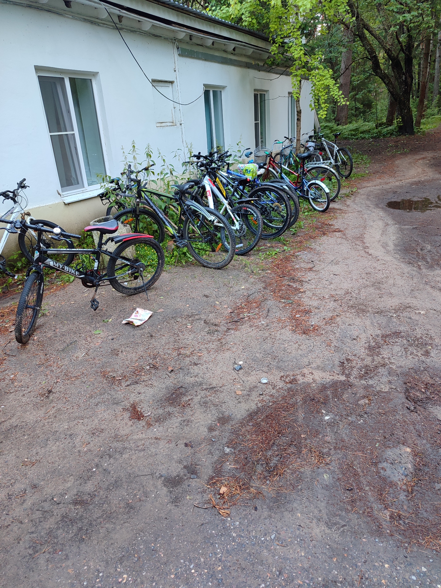 The image shows a line of bicycles parked in front of a white building with several windows. The building appears to be a single-story structure. The bicycles are of various colors and styles, with some having fenders and baskets. They are parked on a dirt or gravel path, which also shows signs of recent moisture. Beyond the building and bicycles, there is a wooded area with trees and foliage. The lighting suggests it is daytime, possibly overcast or late afternoon. There are no people visible in the image. The scene is located outdoors, likely in a rural or suburban setting given the natural environment.