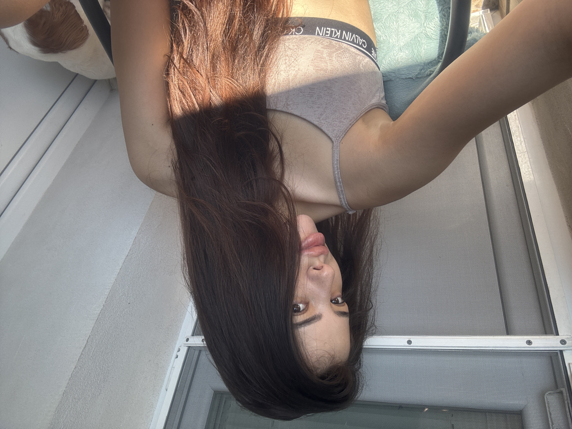 The image depicts a young woman in an indoor setting, identified as Plovdiv, Bulgaria, captured in bright daylight. The woman, positioned centrally, has long, dark brown hair with reddish highlights from the sun, and a medium skin tone. She wears a light-colored Calvin Klein bralette with a black band displaying the brand's logo. Her lips are full and slightly pouted, and she makes direct eye contact with the camera. Her left arm is visible, extended towards the left of the frame, and a light blue textured fabric is beneath it. A white and brown dog is partially visible in the lower right background, appearing to be resting. The environment features a window with a fine mesh screen on the left, secured by white frames and visible screws. To the right and above the woman, there is a light-colored, textured, and angled ceiling or wall. Strong sunlight casts distinct shadows across the woman's hair, arm, and clothing, indicating a direct light source.