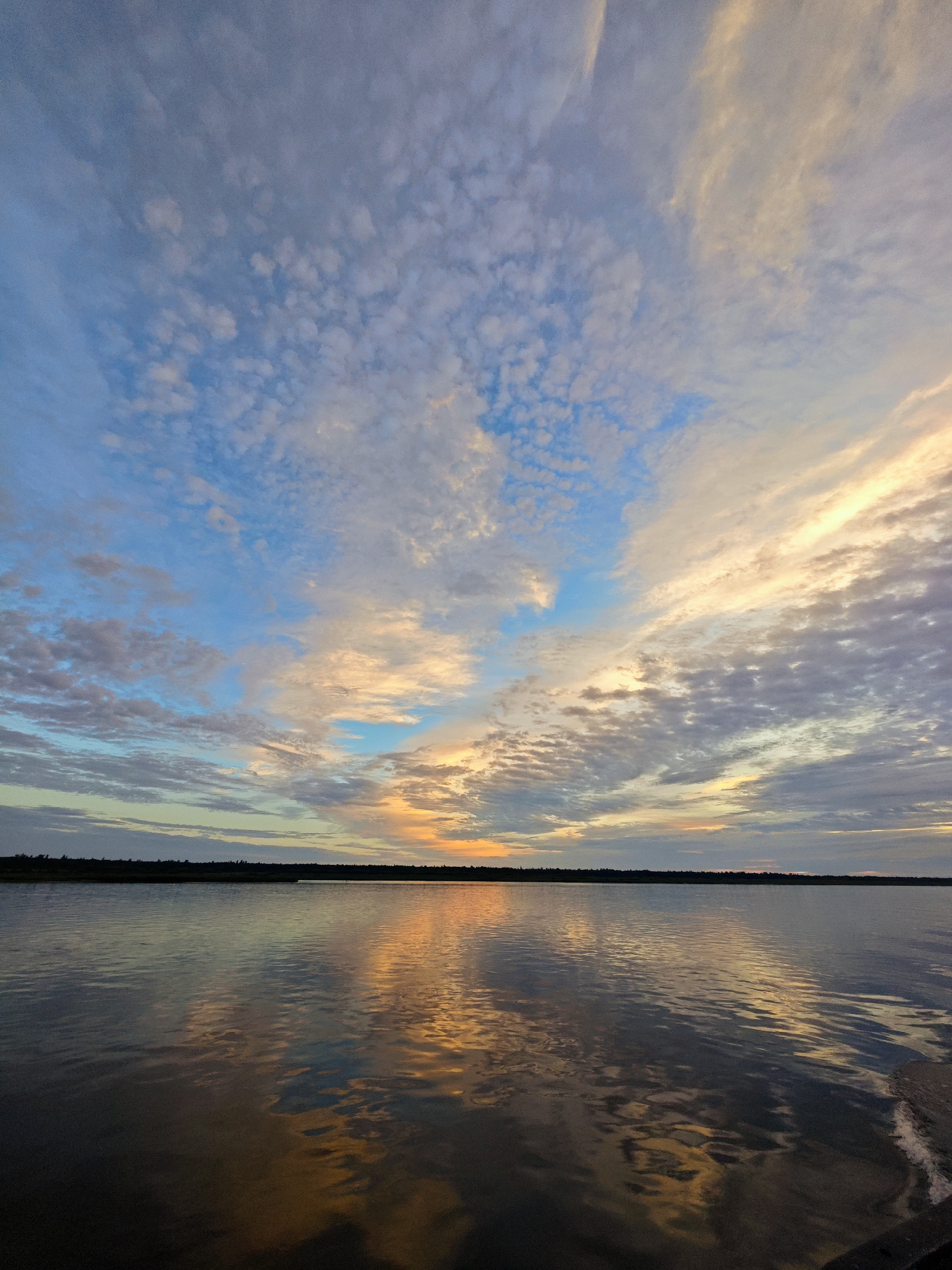 A horizontal, low-angle, wide shot captures a sunset over a wide, calm body of water, likely a river or lake, with a dark, silhouetted tree line on the horizon. The sky is filled with a dramatic display of clouds, predominantly in shades of blue, white, and orange. Some of the clouds are tinged with yellow and pink, suggesting the last rays of the setting sun. The water acts as a mirror, reflecting the colors of the sky and the faint outline of the distant land. The overall mood is serene and atmospheric. No people or specific structures are visible in this natural landscape. The location is stated to be in Nikulino, Russia, implying this is a natural scene within that geographical area.