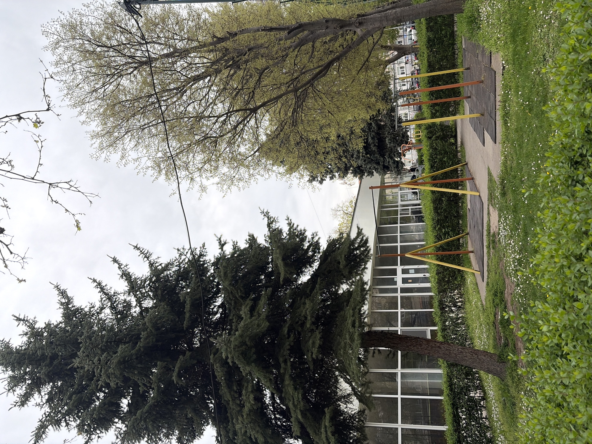 The image shows an outdoor scene, likely a park or green space, in Plovdiv, Bulgaria. There is a playground structure with yellow and brown bars, and black rubber matting underneath. The playground is bordered by a hedge and grassy areas with small white flowers. Two trees are prominent: one with dark green, dense foliage and another with lighter green foliage and visible branches. A building with large, multi-pane windows is visible in the background. The sky is overcast and gray.