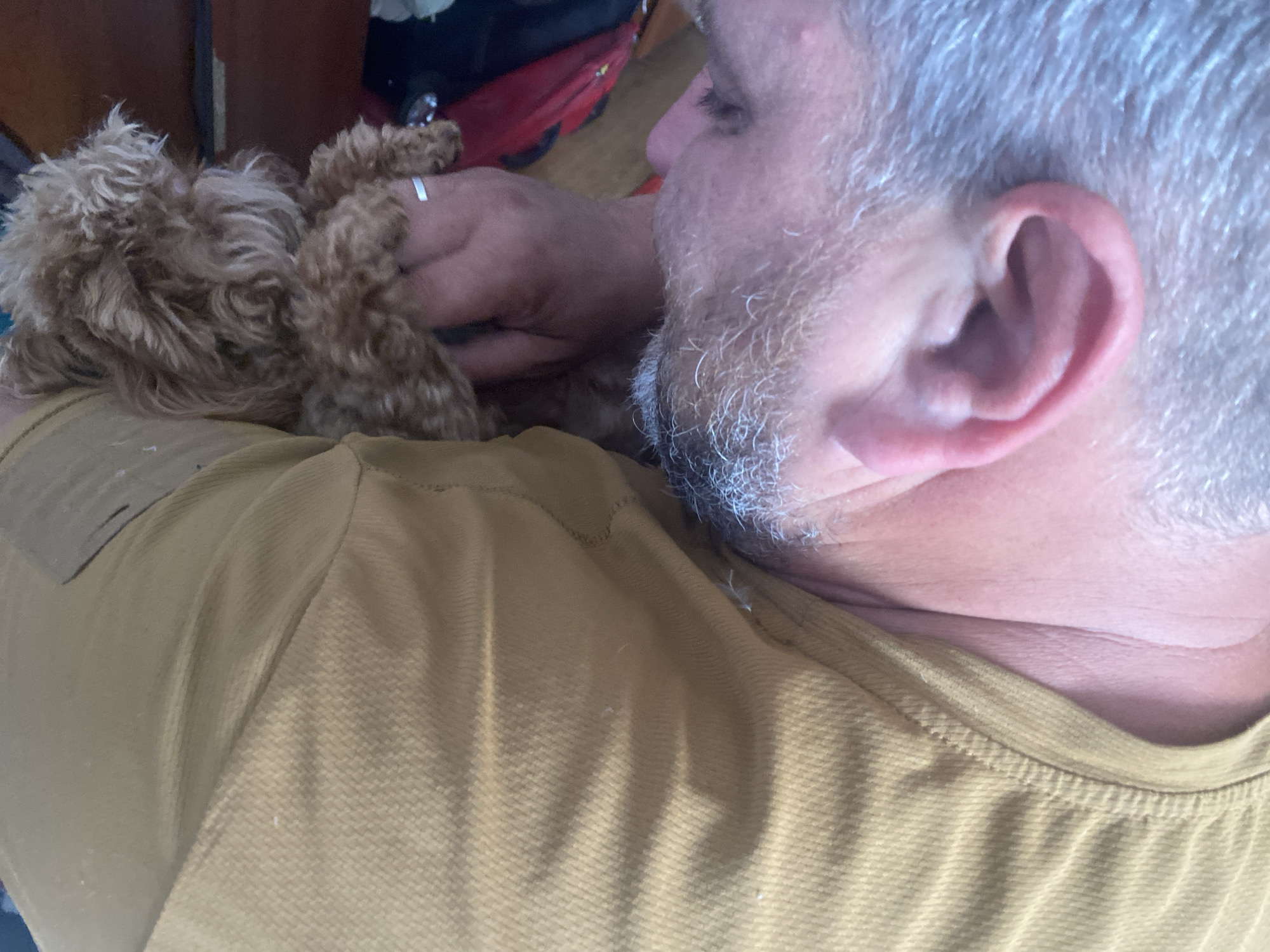 The image is a close-up, high-angle shot of a person's upper body and a small dog. The person is wearing a light brown garment, possibly pants or a shirt, which has a textured weave. A person's hand, wearing a silver ring, is visible resting on the dog. The dog is small, fluffy, and light brown. The person has graying hair and a beard, and their ear is clearly visible in the foreground. The background is out of focus and appears to be indoors, with some indistinct objects and colors suggesting furniture or other household items. There are no identifiable landmarks or environmental features that would indicate a specific location within the city of Dnipro, Ukraine.